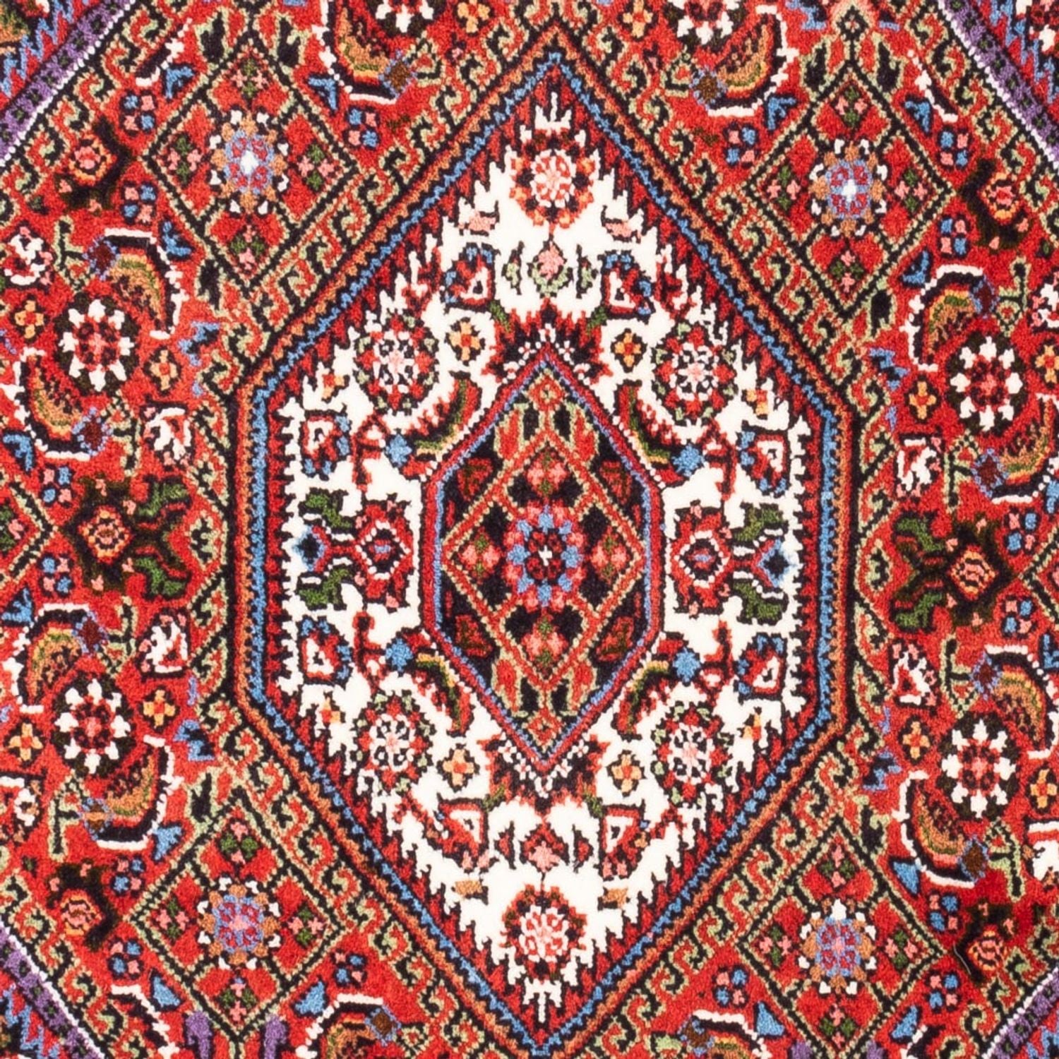 Tappeto Persero - Bidjar - 104 x 70 cm - rosso
