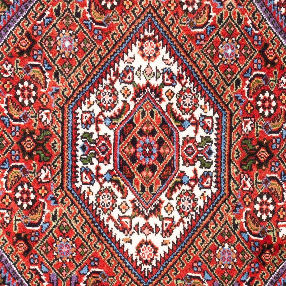 Tappeto Persero - Bidjar - 104 x 70 cm - rosso