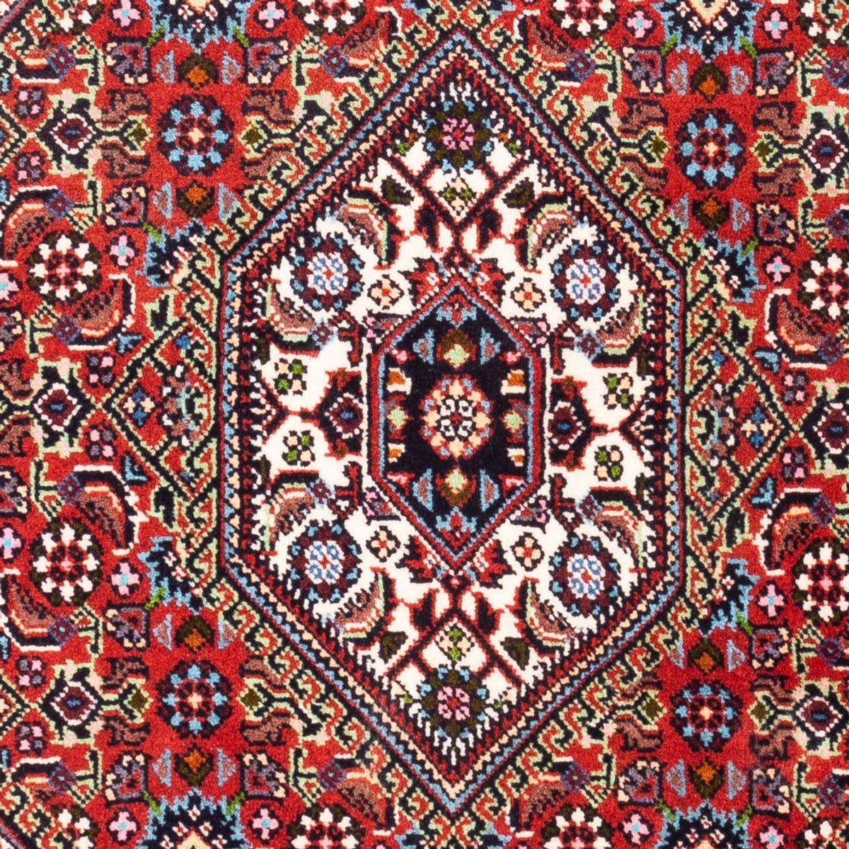 Tappeto Persero - Bidjar - 102 x 70 cm - rosso