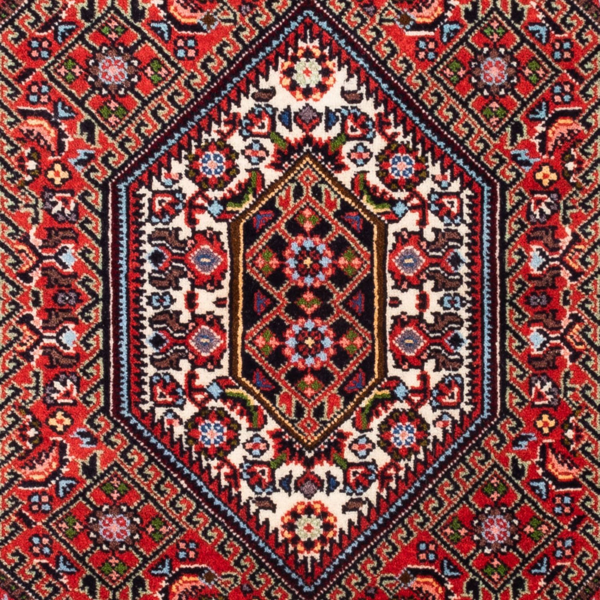 Tappeto Persero - Bidjar - 98 x 68 cm - rosso