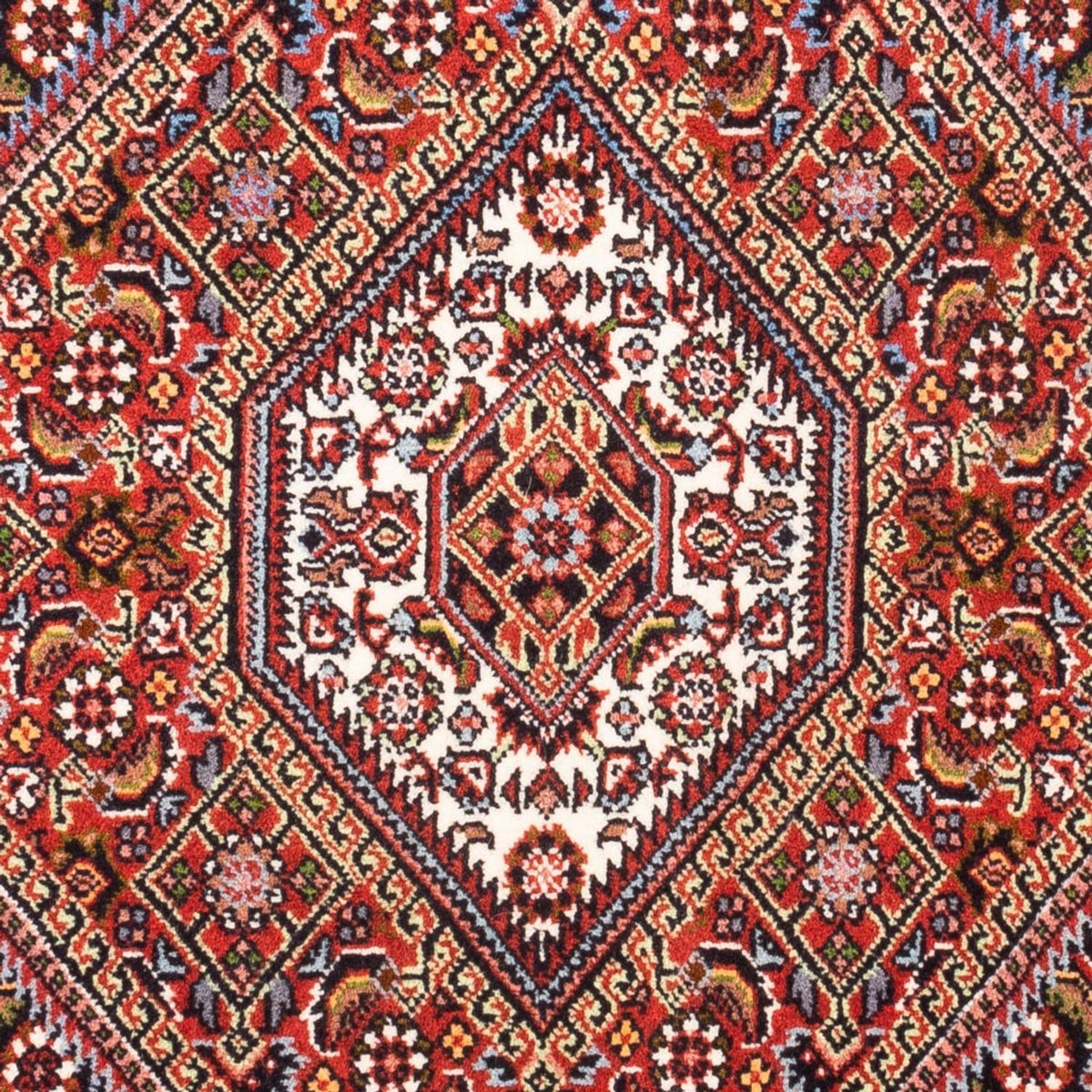 Tappeto Persero - Bidjar - 90 x 70 cm - rosso