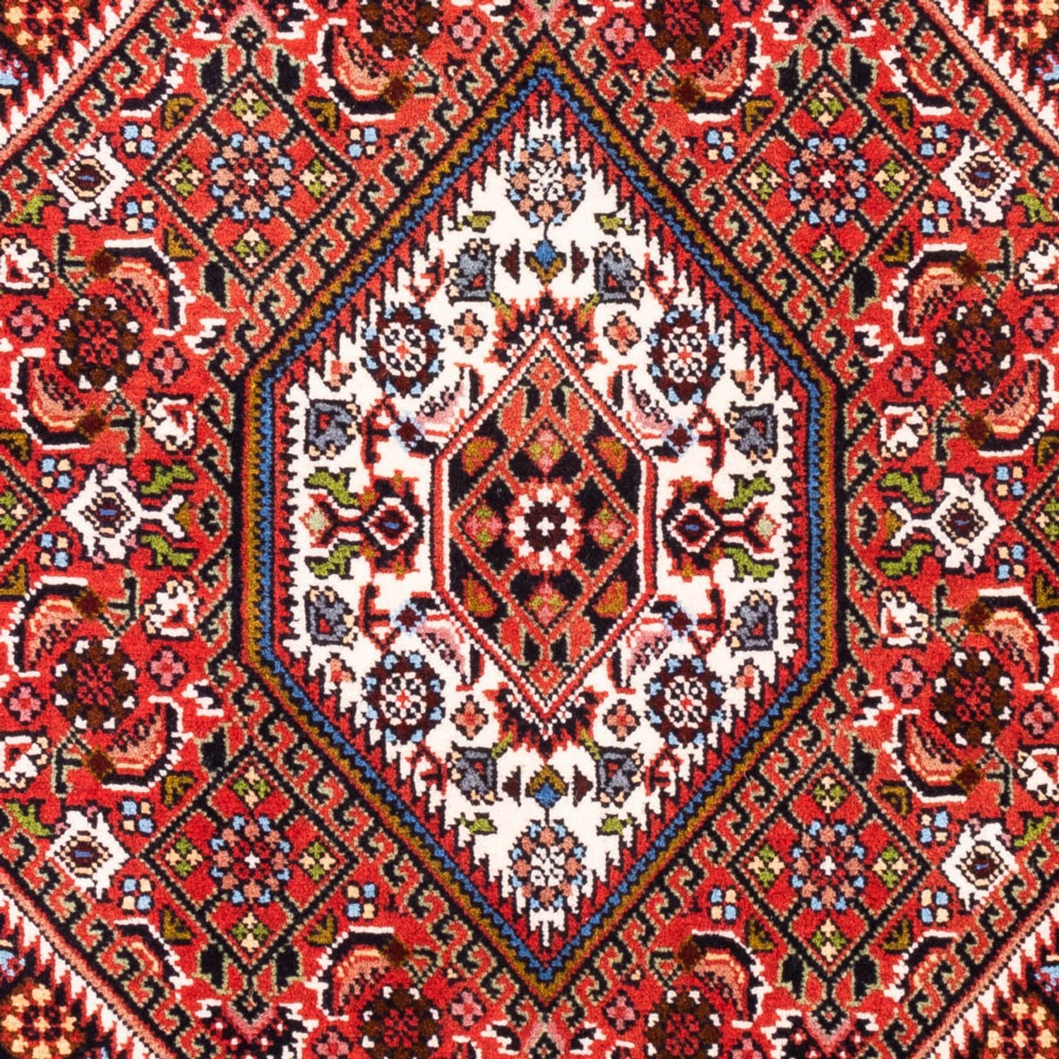 Tappeto Persero - Bidjar - 104 x 74 cm - rosso