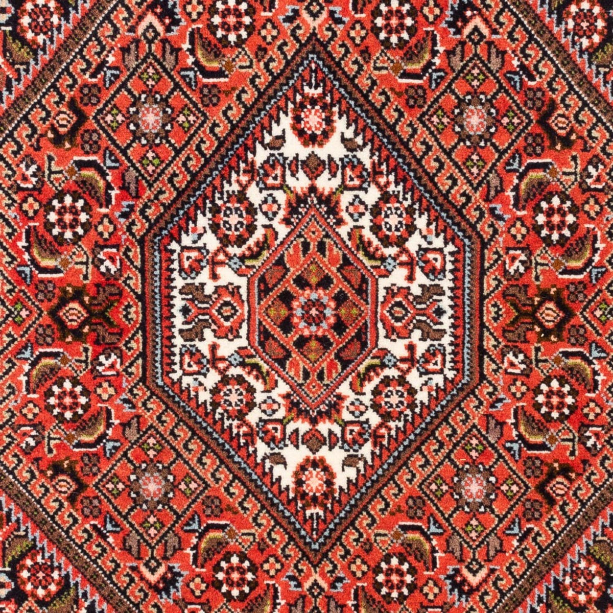 Tappeto Persero - Bidjar - 104 x 71 cm - rosso