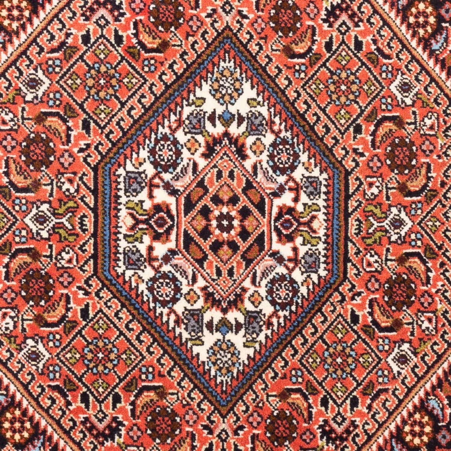 Tappeto Persero - Bidjar - 104 x 74 cm - rosso