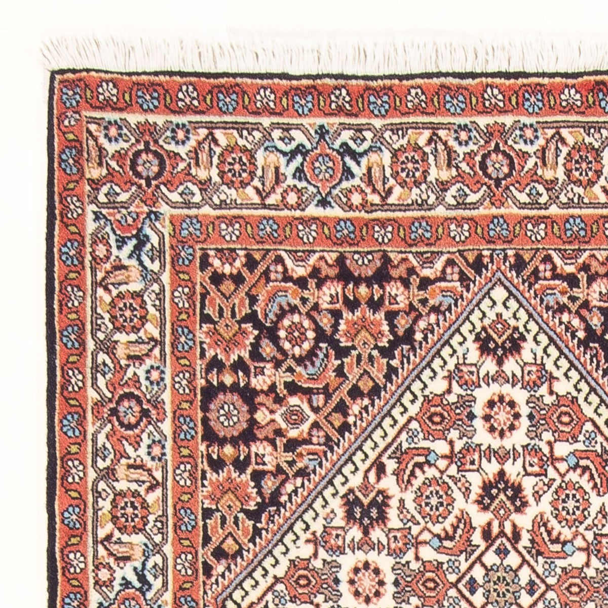Bidjar - Bukan Tappeto 85x161cm - Tappeto persiano - crema