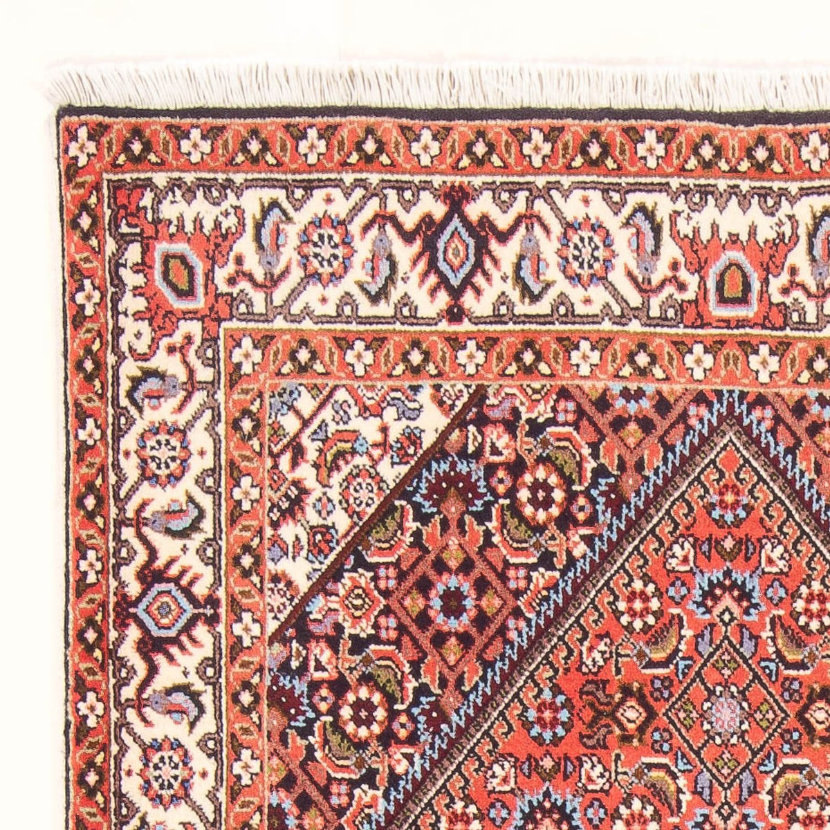 Bidjar - Bukan Tappeto 83x154cm - Tappeto persiano - rosso