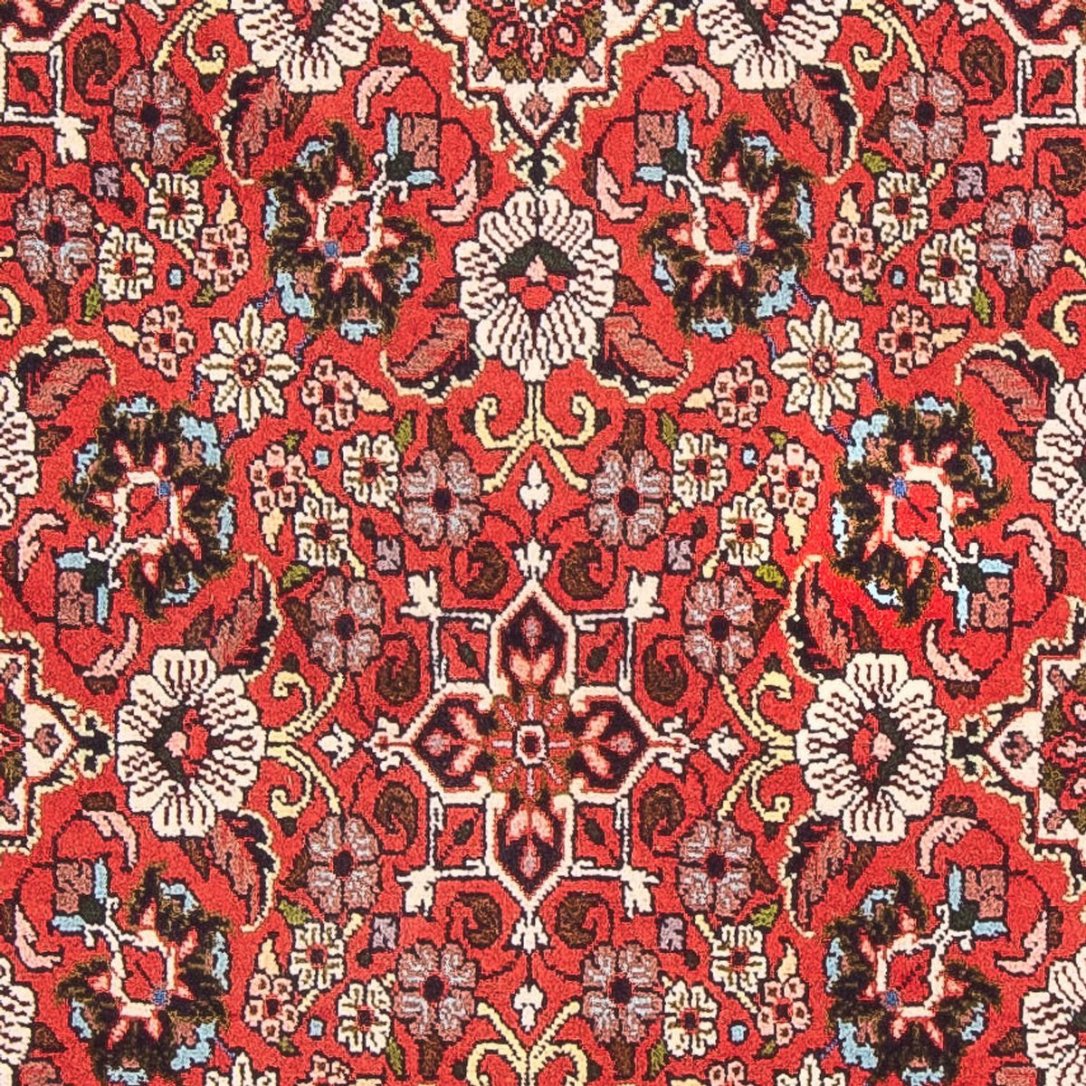 Tappeto Persero - Bidjar - 148 x 82 cm - rosso