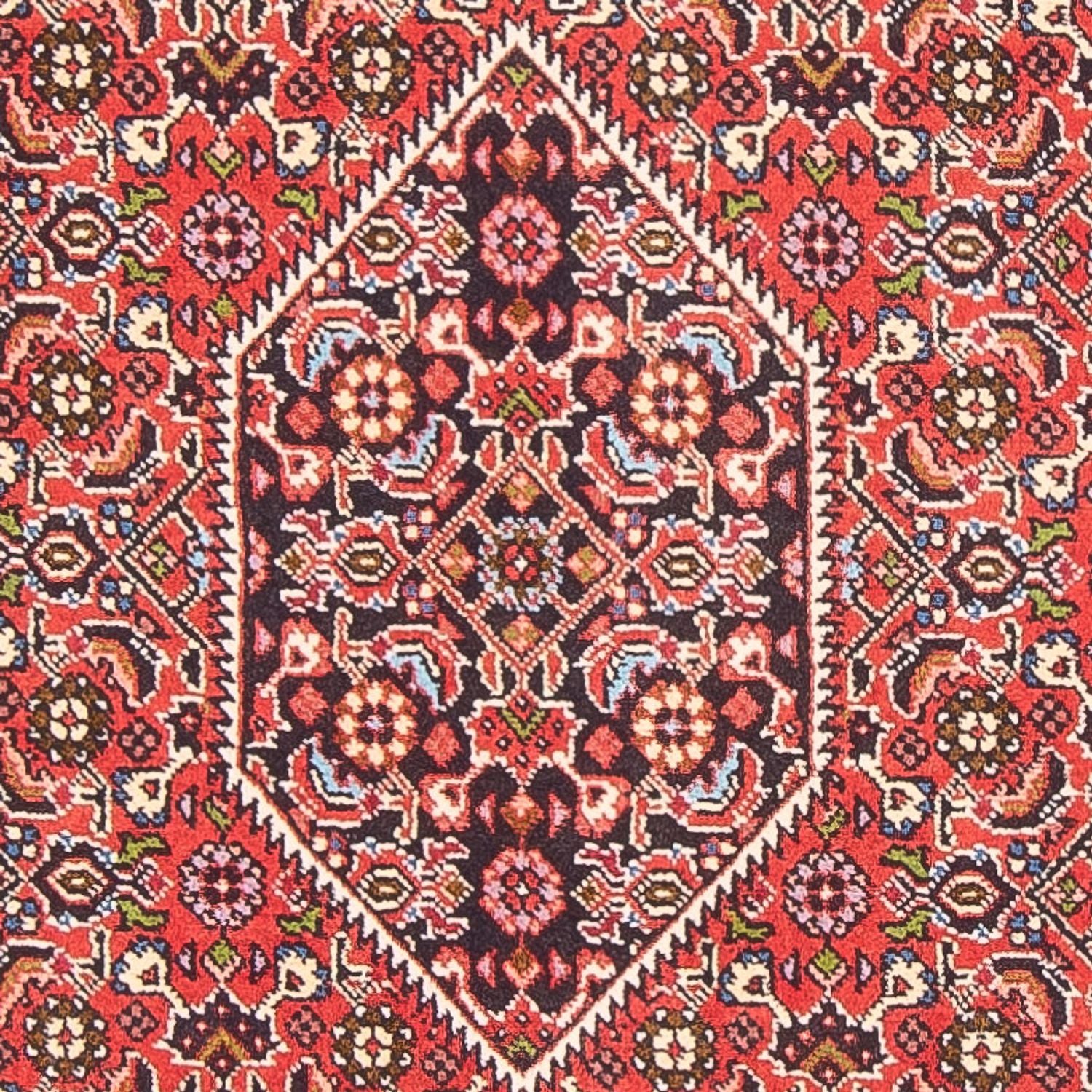 Tappeto Persero - Bidjar - 152 x 82 cm - rosso