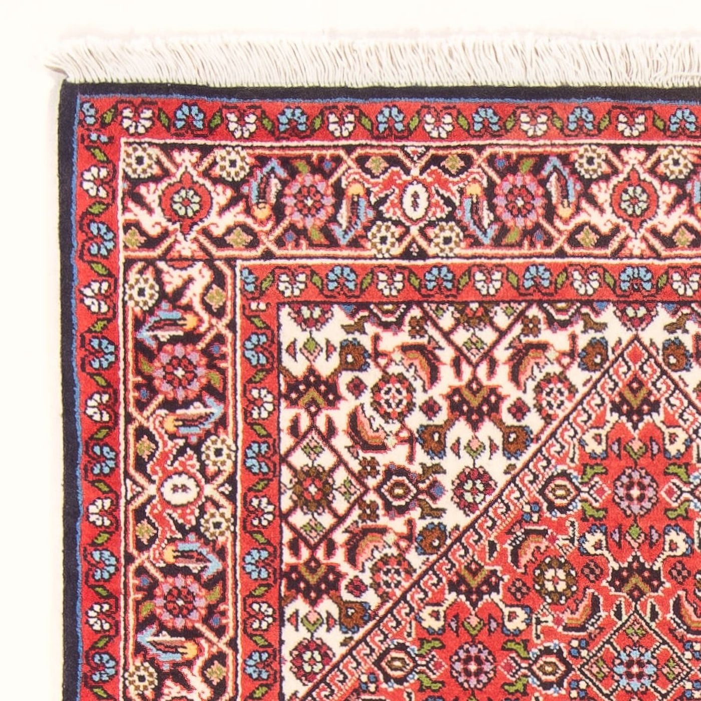 Bidjar - Bukan Tappeto 152x82cm - Tappeto persiano