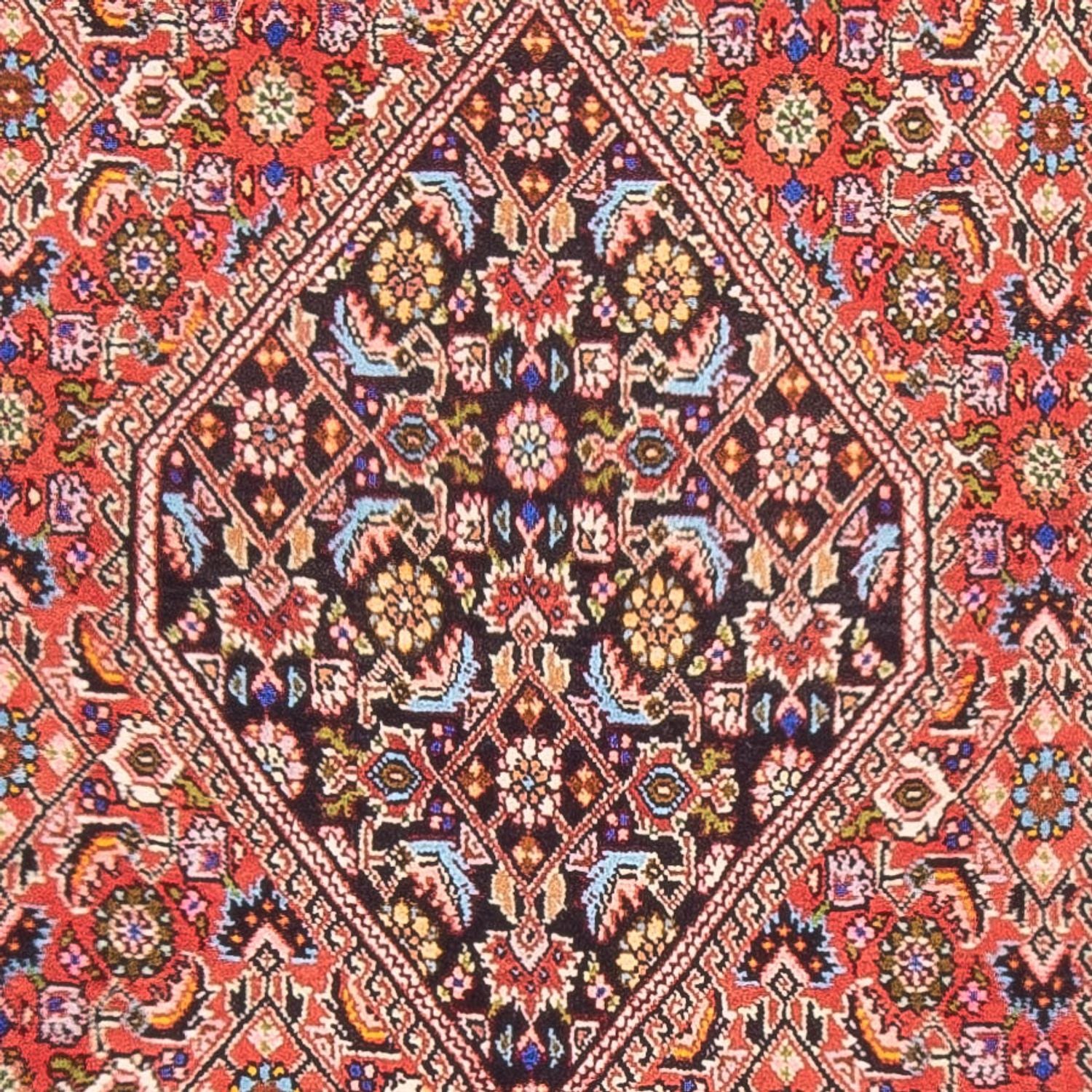 Tappeto Persero - Bidjar - 165 x 84 cm - rosso