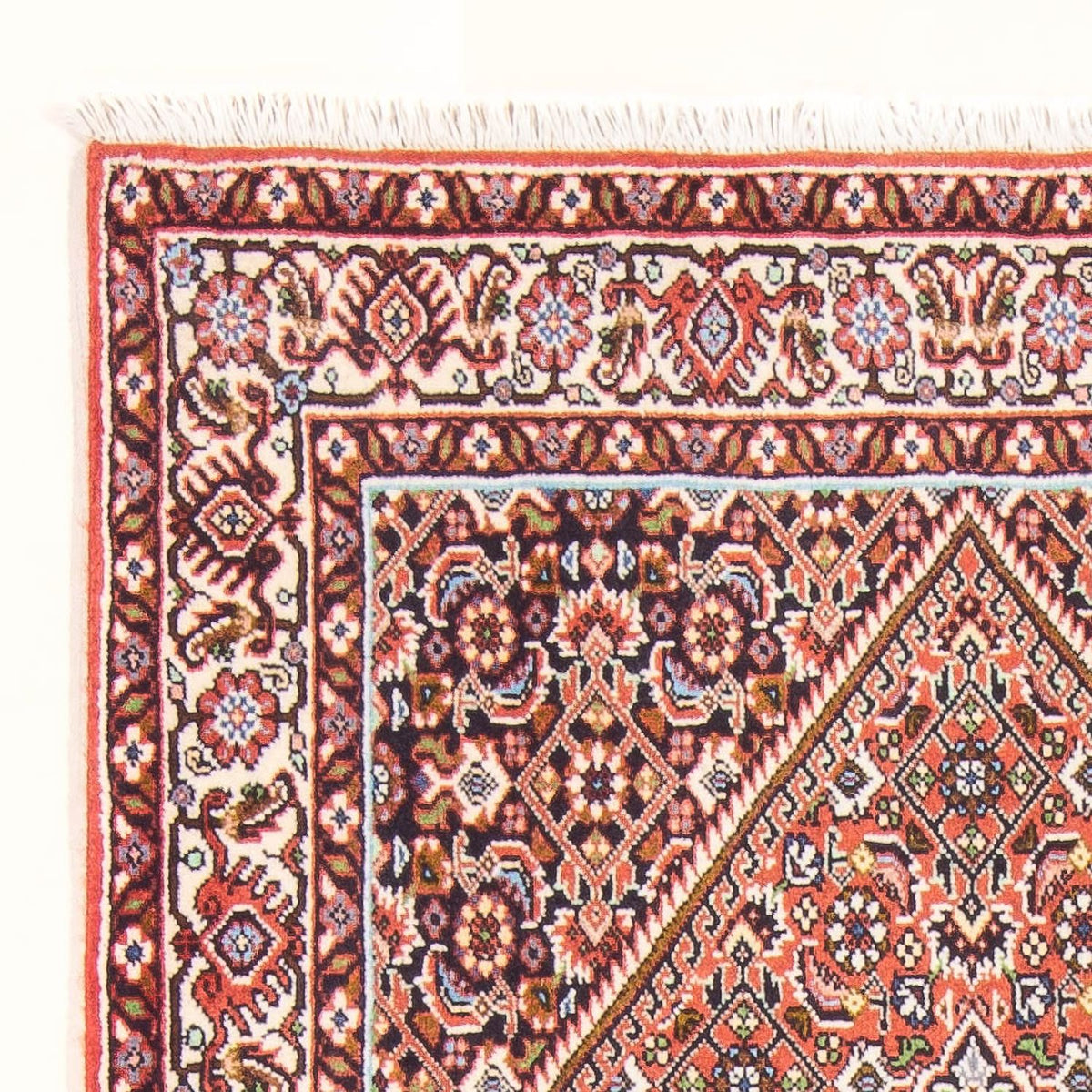 Bidjar - Bukan Tappeto 84x156cm - Tappeto persiano - rosso