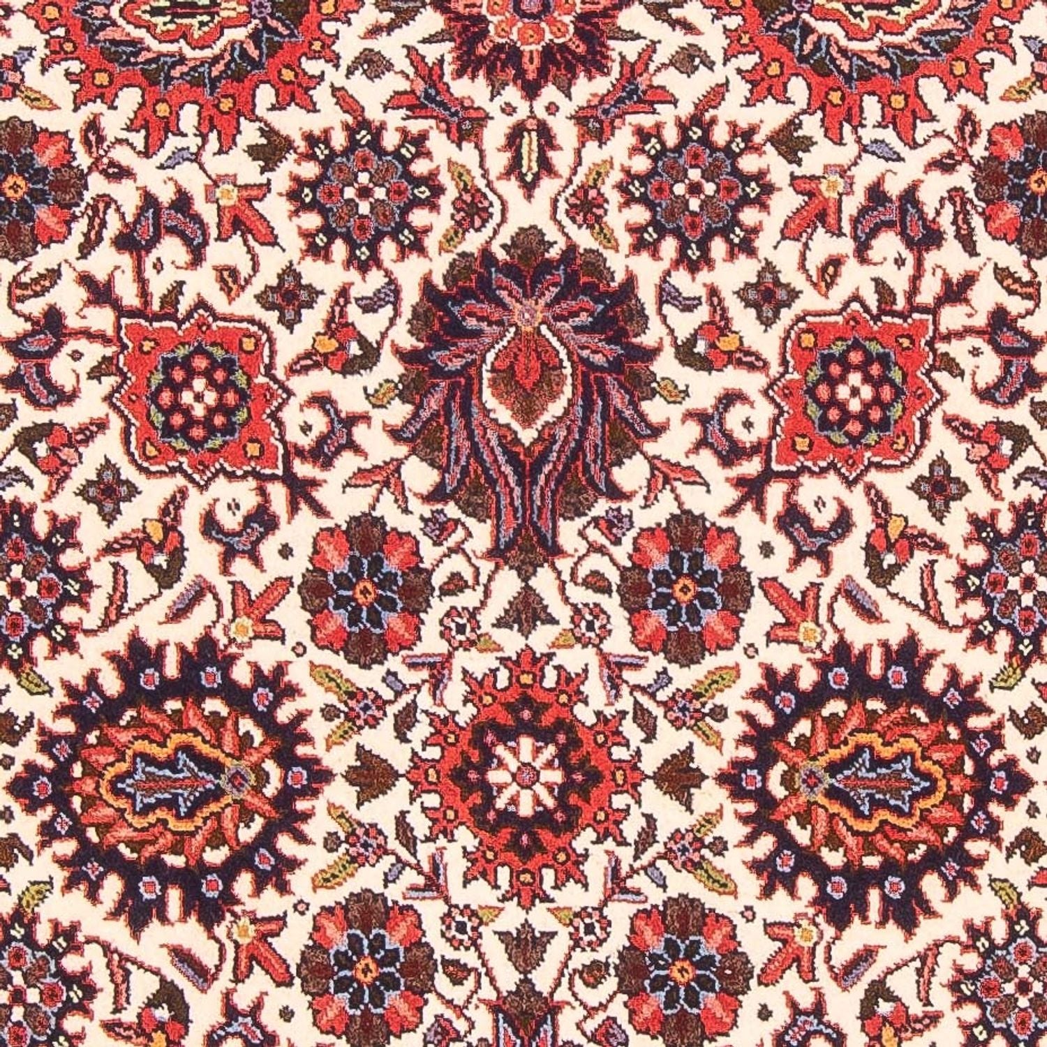 Tappeto Persero - Bidjar - 150 x 86 cm - beige