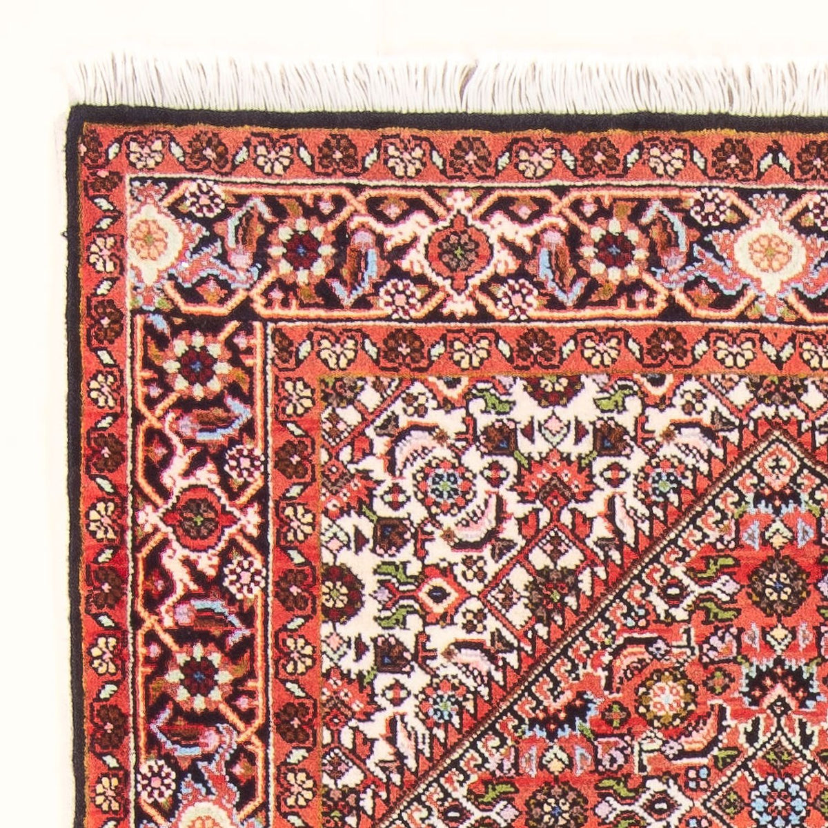 Bidjar - Bukan Tappeto 82x142cm - Tappeto persiano - rosso