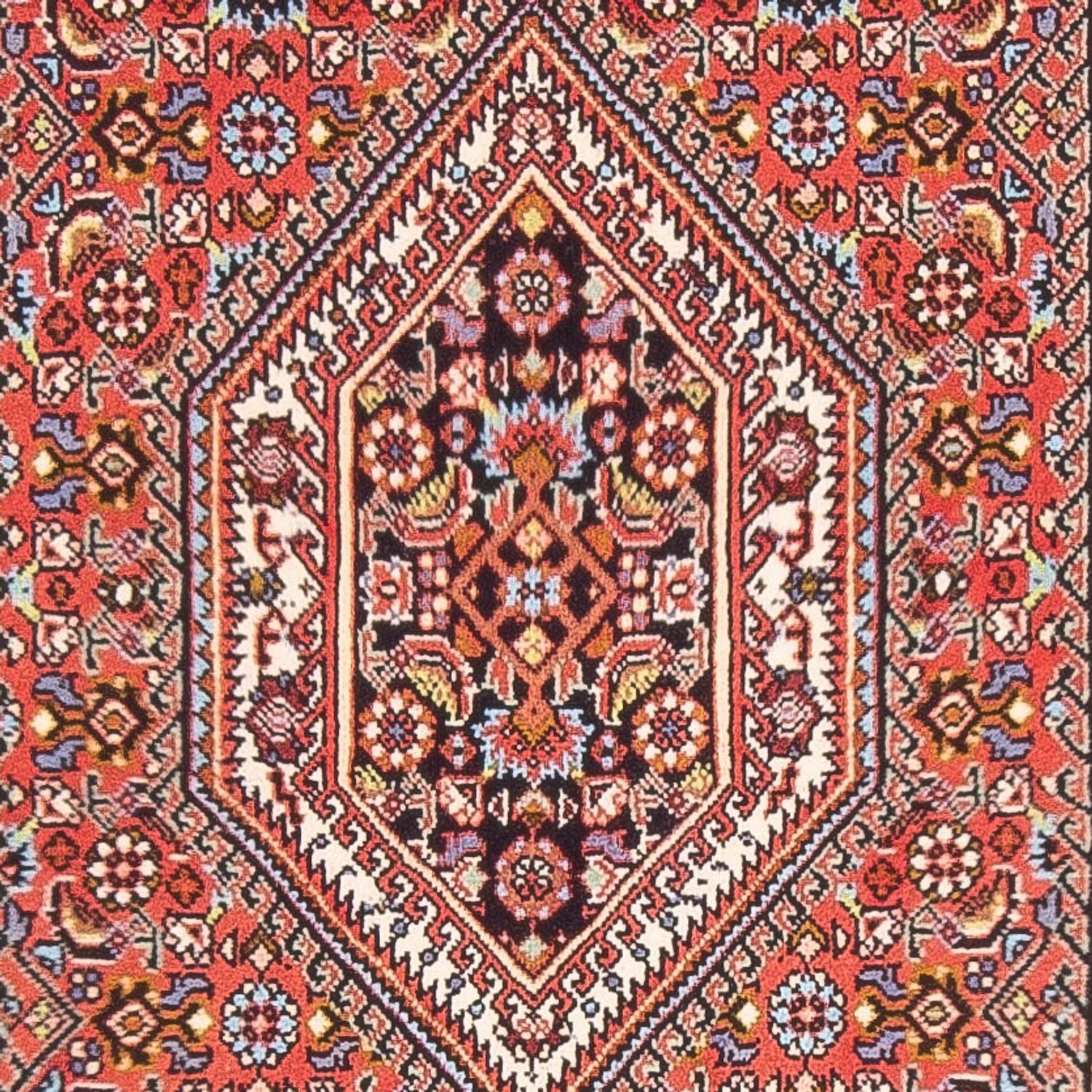 Tappeto Persero - Bidjar - 147 x 82 cm - rosso