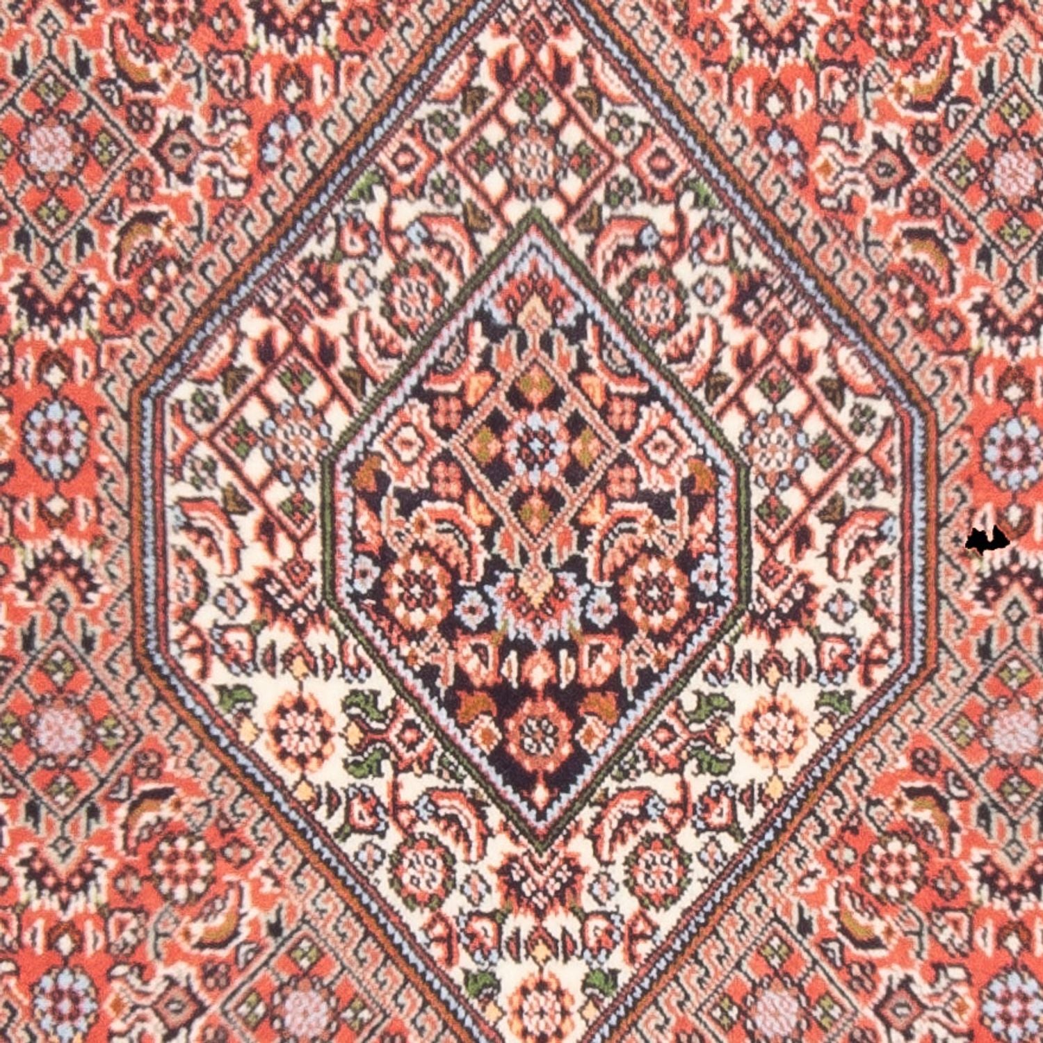 Tappeto Persero - Bidjar - 140 x 87 cm - rosso