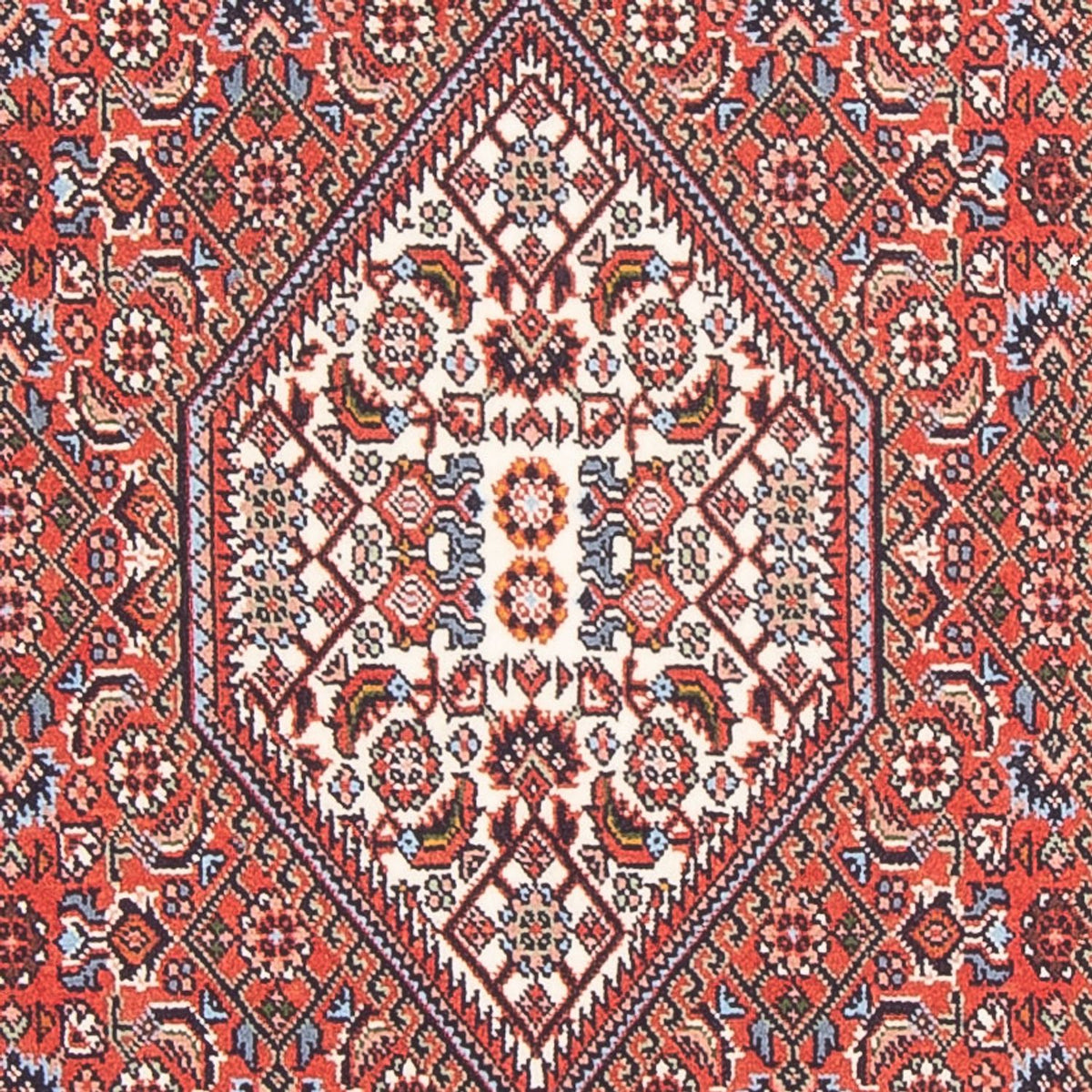 Tappeto Persero - Bidjar - 145 x 84 cm - rosso