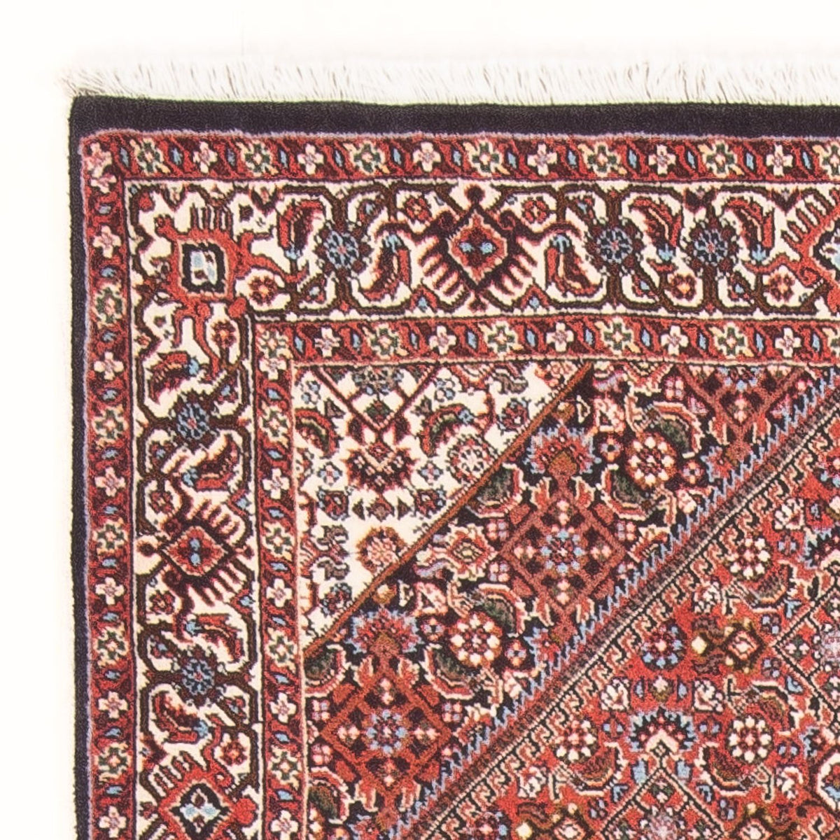 Bidjar - Bukan Tappeto 88x134cm - Tappeto persiano - rosso