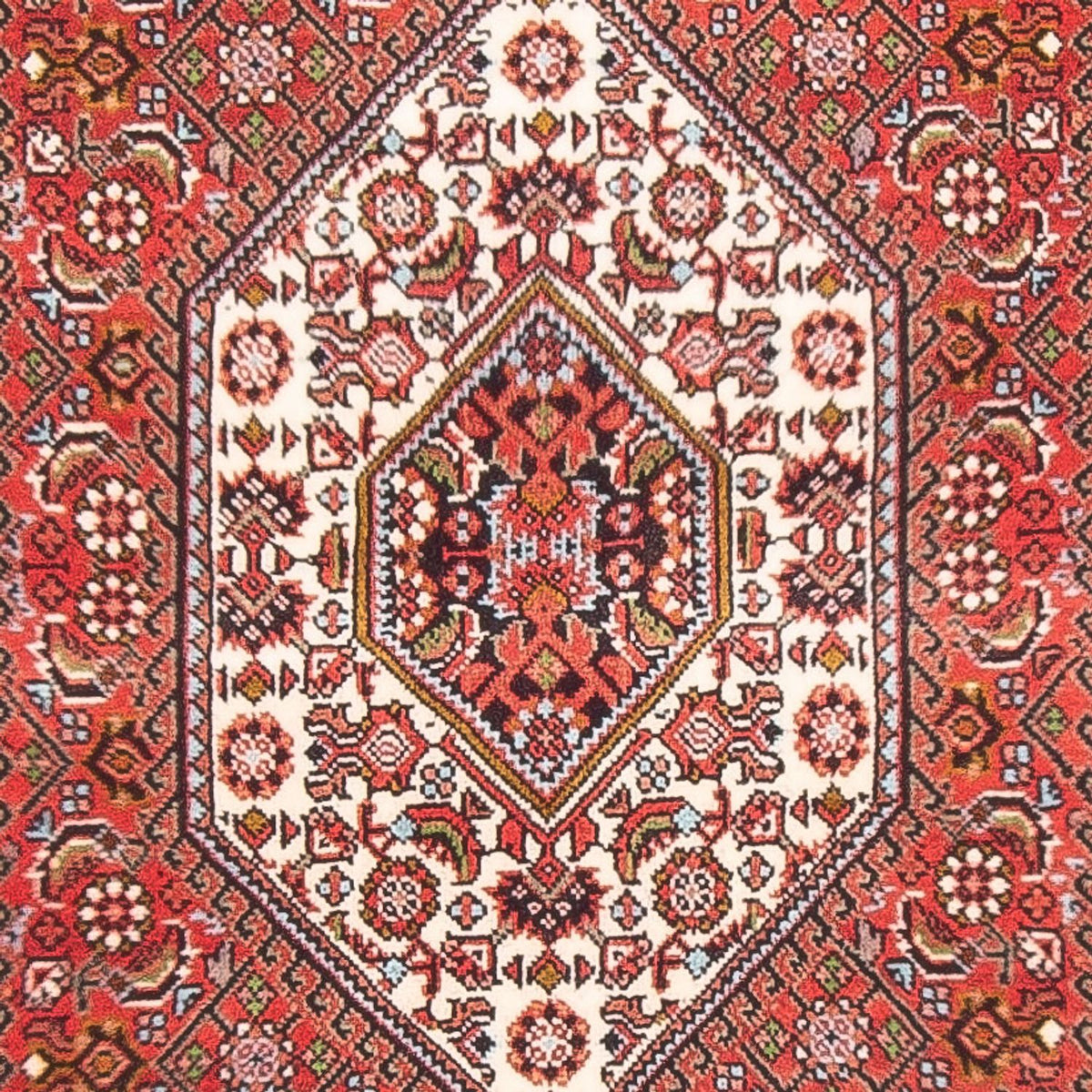 Tappeto Persero - Bidjar - 144 x 82 cm - rosso
