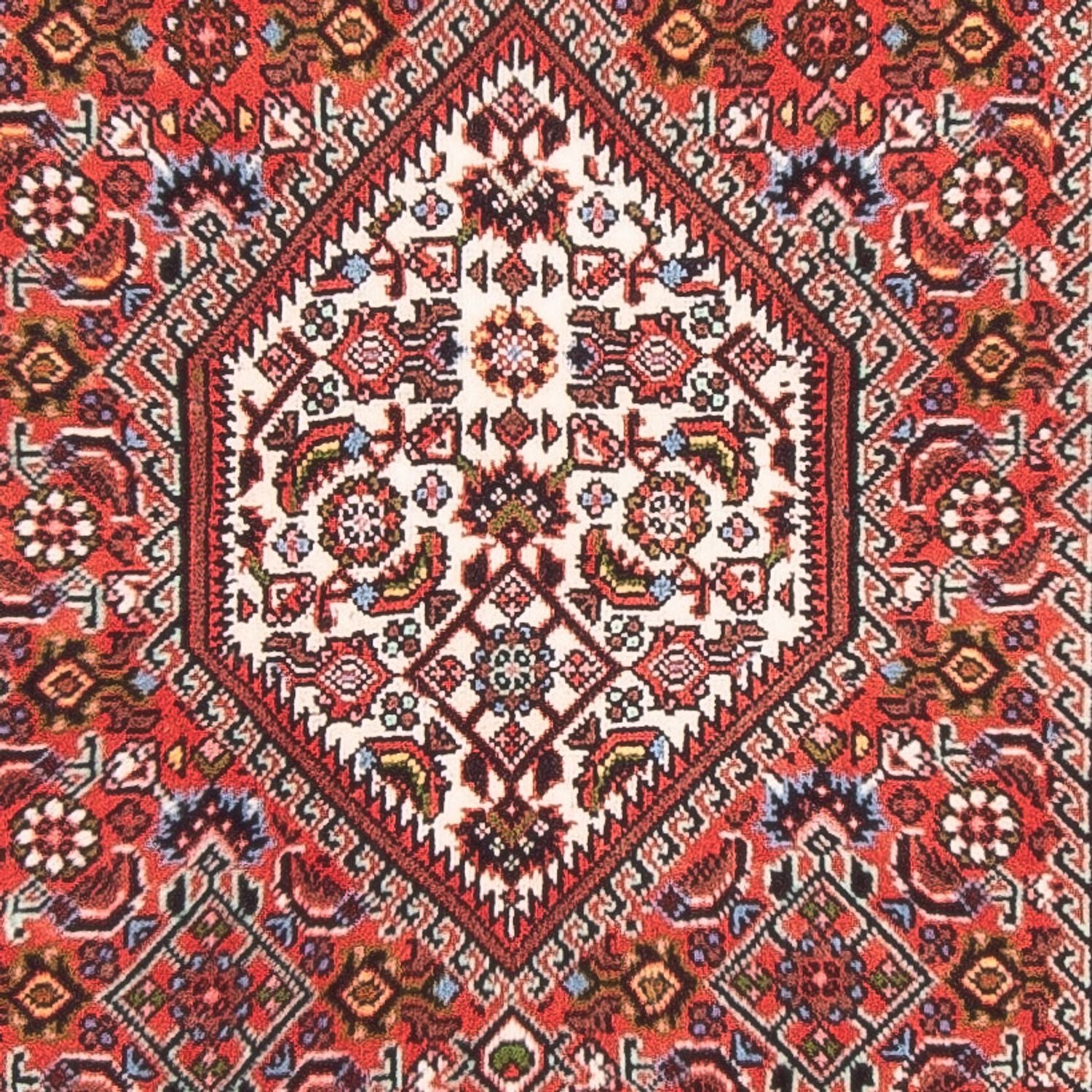 Tappeto Persero - Bidjar - 142 x 80 cm - rosso