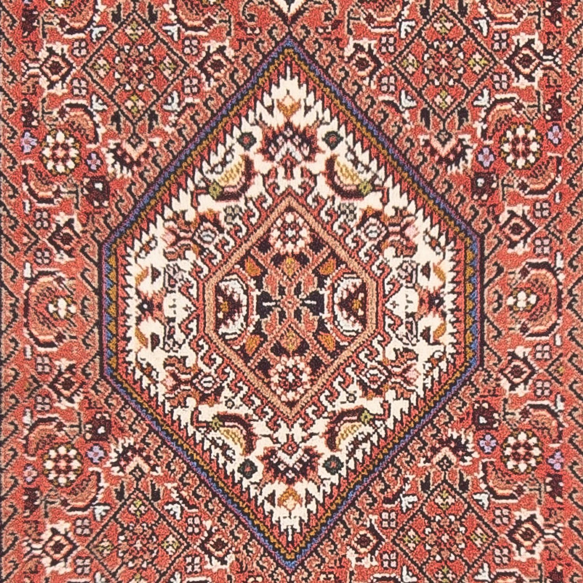 Tappeto Persero - Bidjar - 140 x 83 cm - rosso