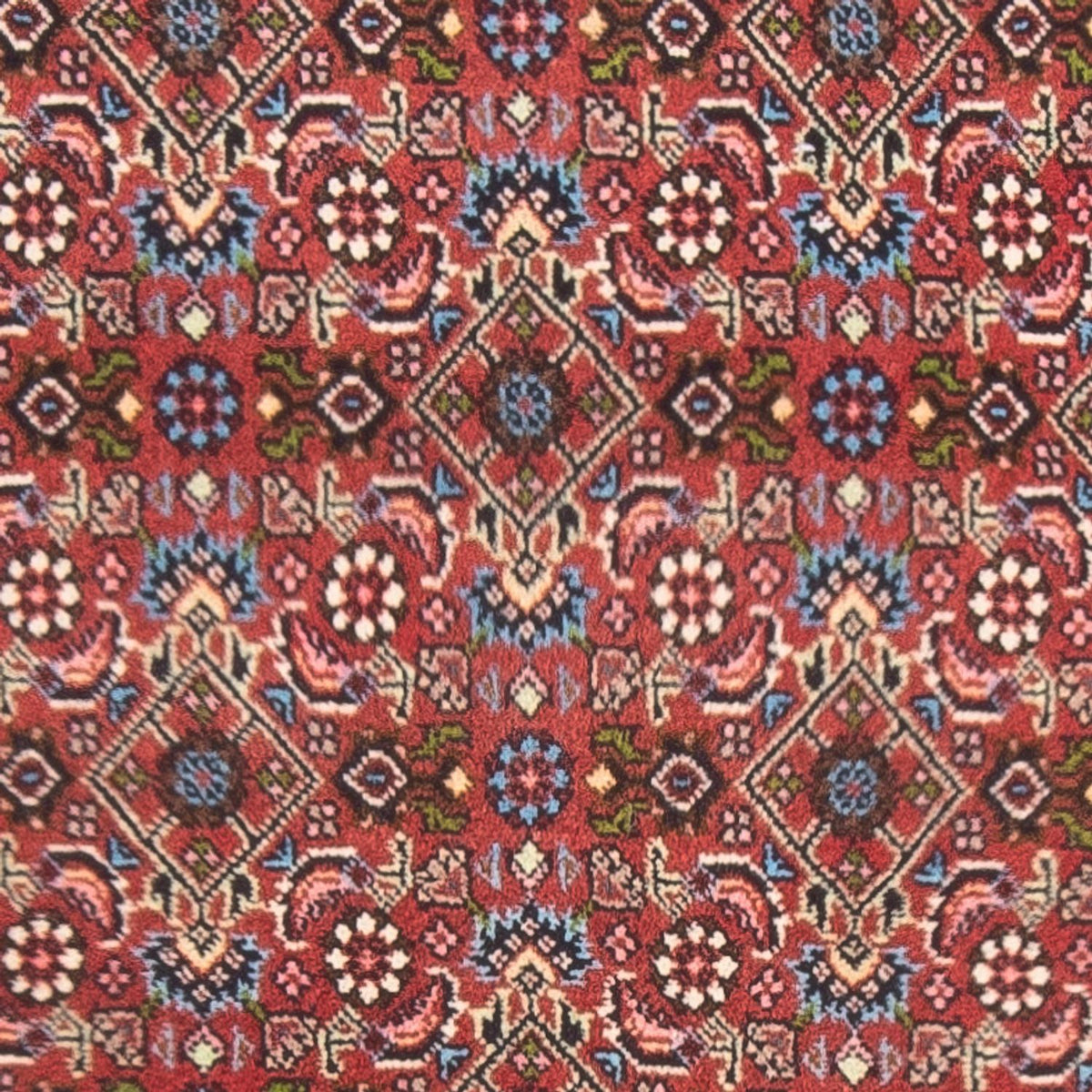 Tappeto Persero - Bidjar - 143 x 81 cm - rosso
