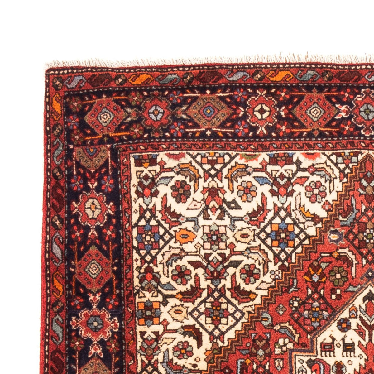 Gholtogh Tappeto 103x145cm - Tappeto persiano