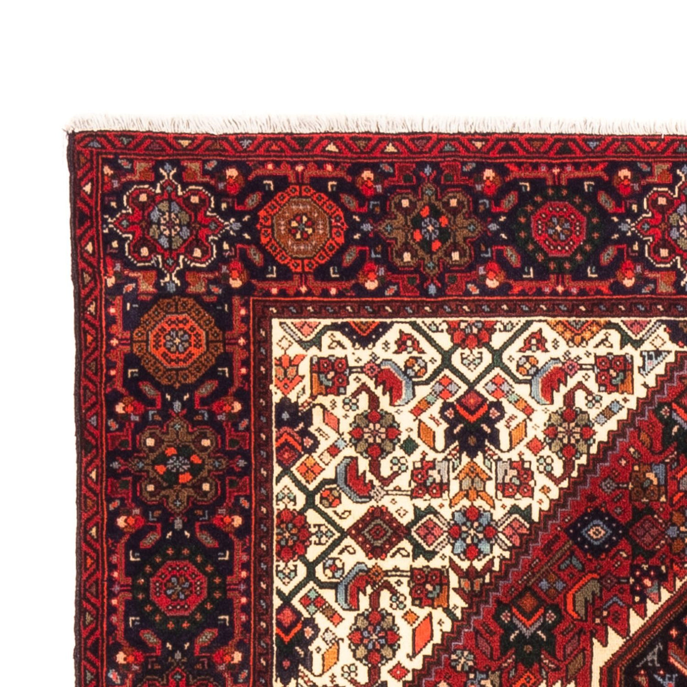 Gholtogh Tappeto 153x103cm - Tappeto persiano