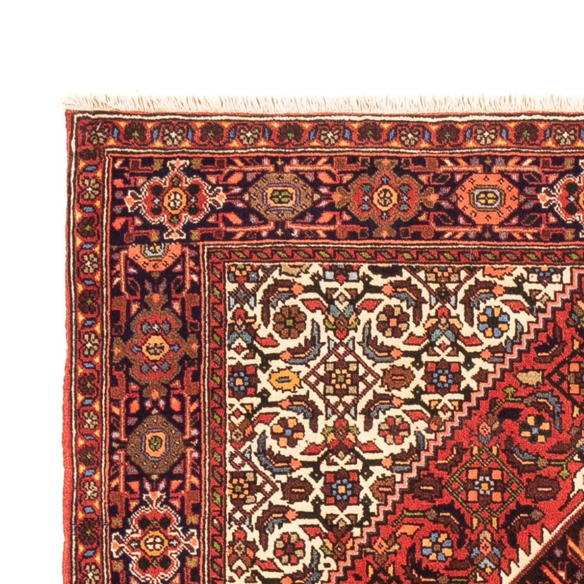 Gholtogh Tappeto 105x157cm - Tappeto persiano