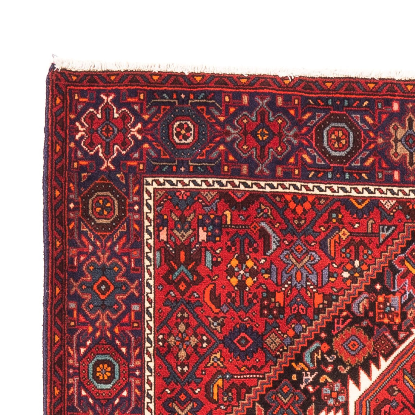 Gholtogh Tappeto 150x101cm - Tappeto persiano
