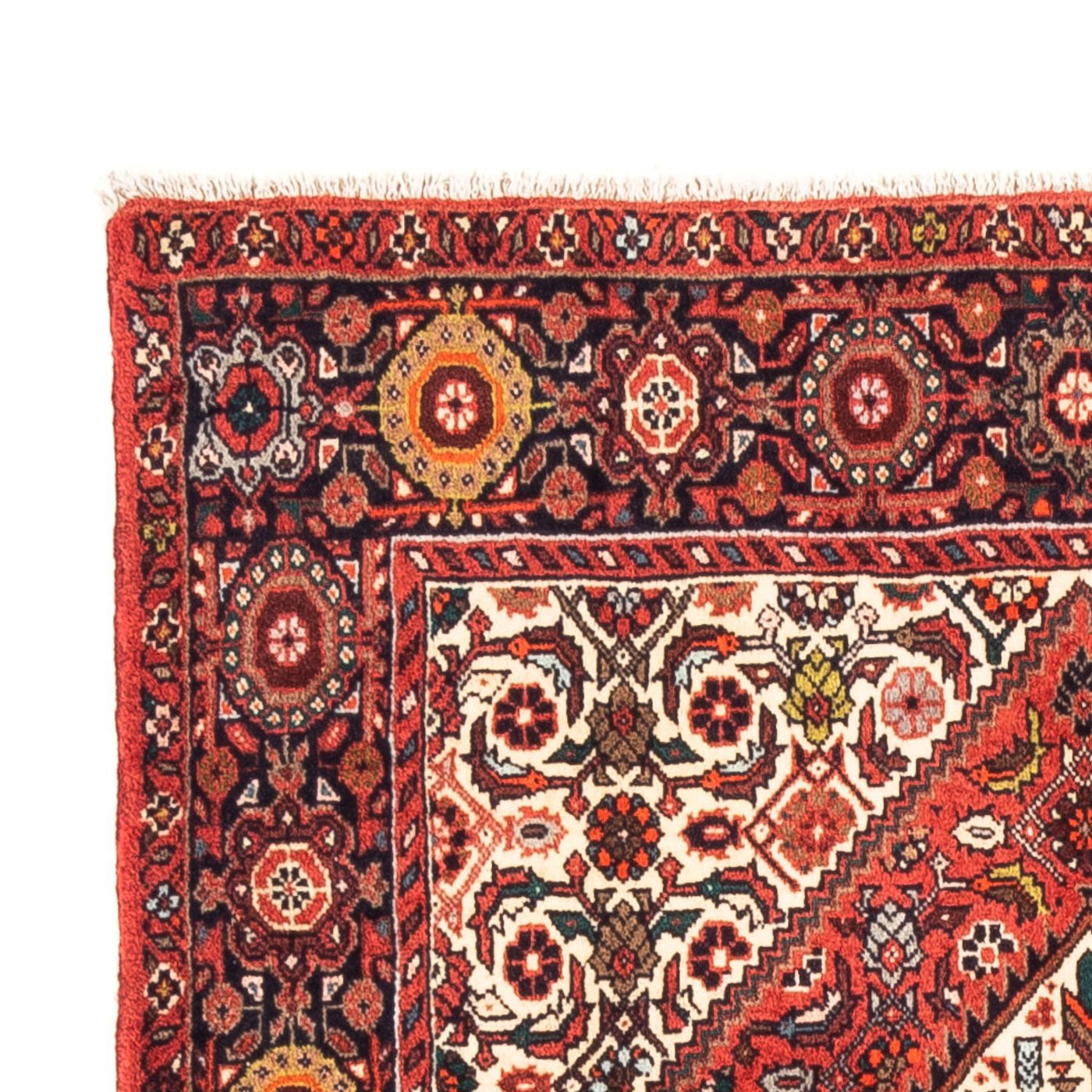 Gholtogh Tappeto 159x105cm - Tappeto persiano