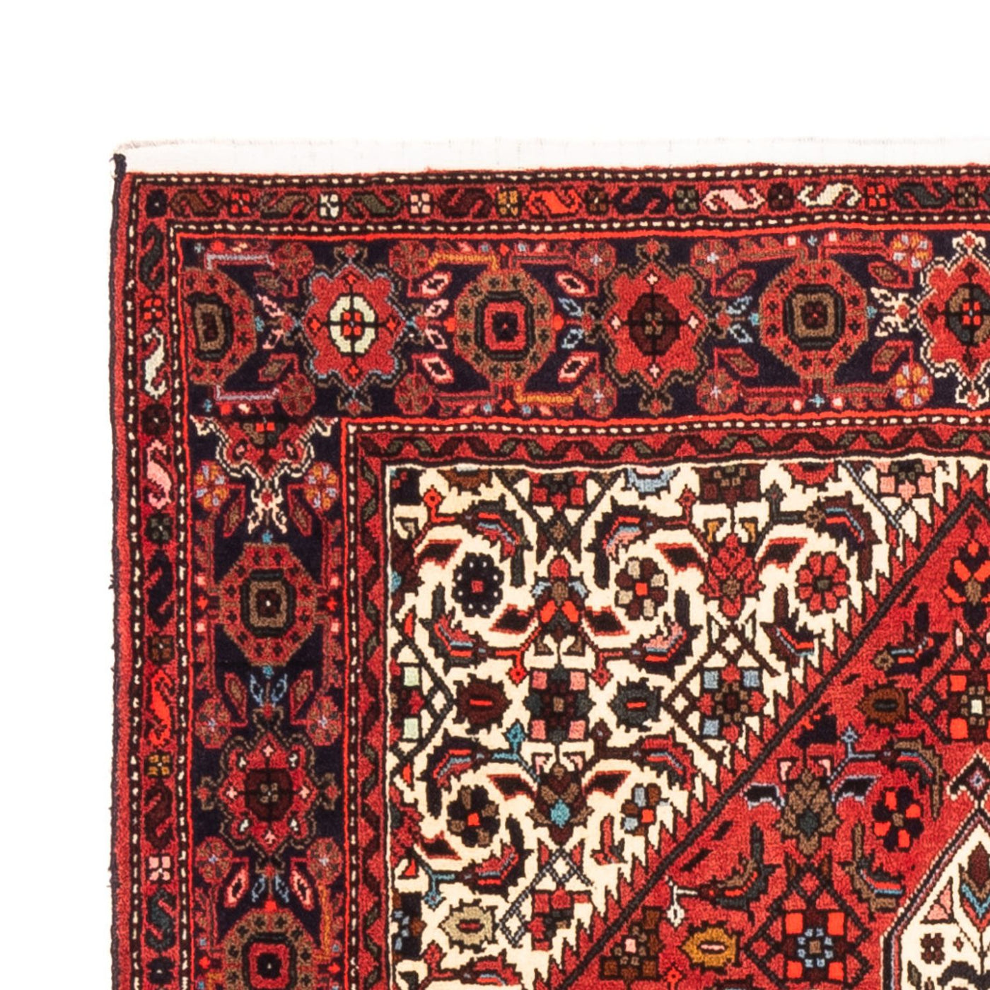 Gholtogh Tappeto 152x101cm - Tappeto persiano