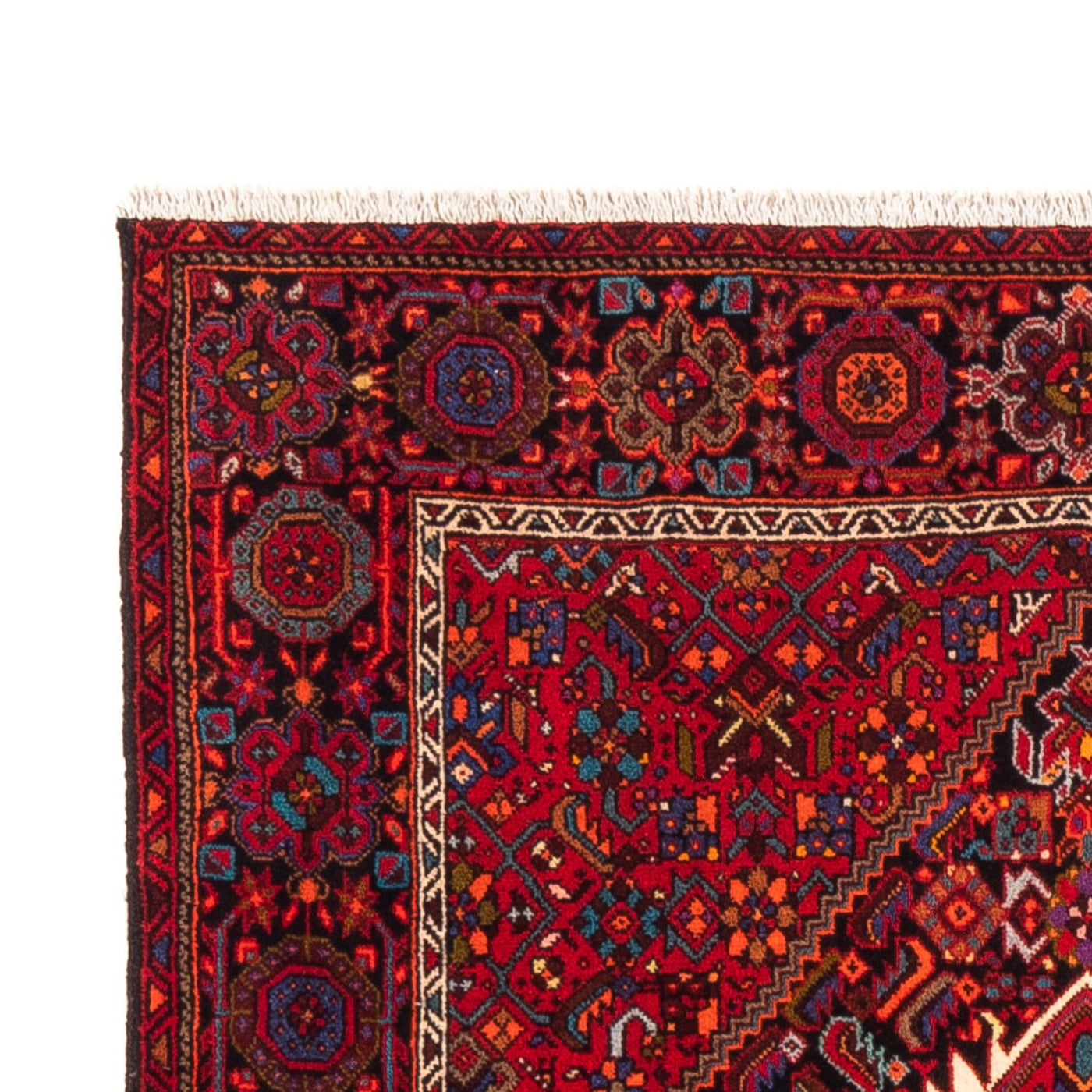 Gholtogh Tappeto 150x101cm - Tappeto persiano