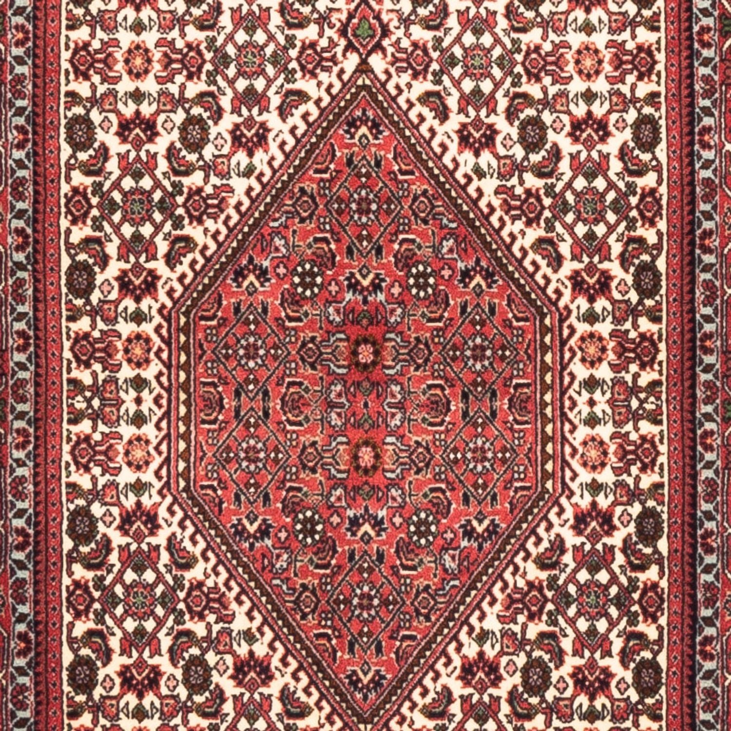 Tappeto corsia Tappeto Persero - Bidjar - 225 x 80 cm - crema