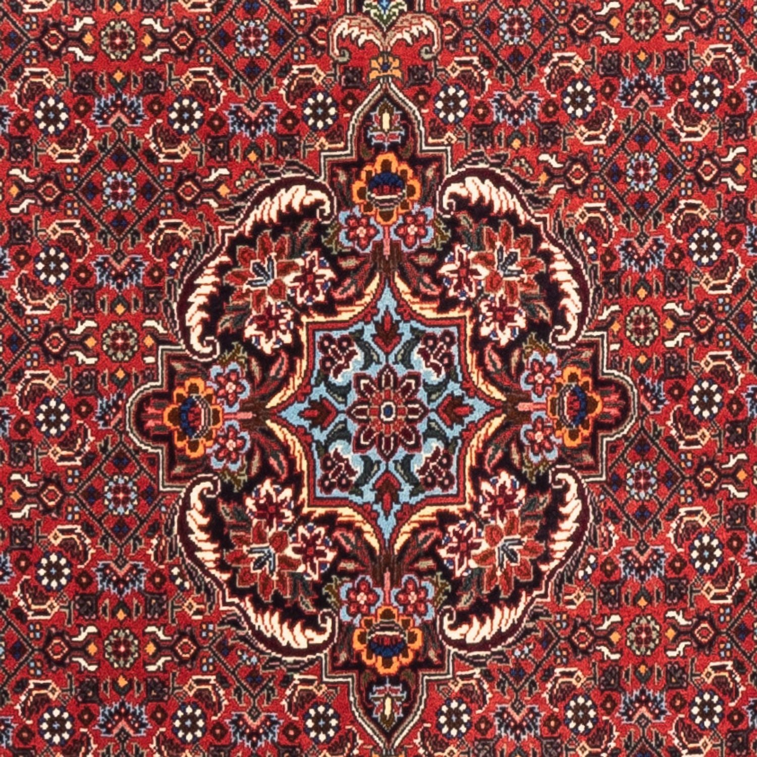 Tappeto corsia Tappeto Persero - Bidjar - 226 x 75 cm - rosso
