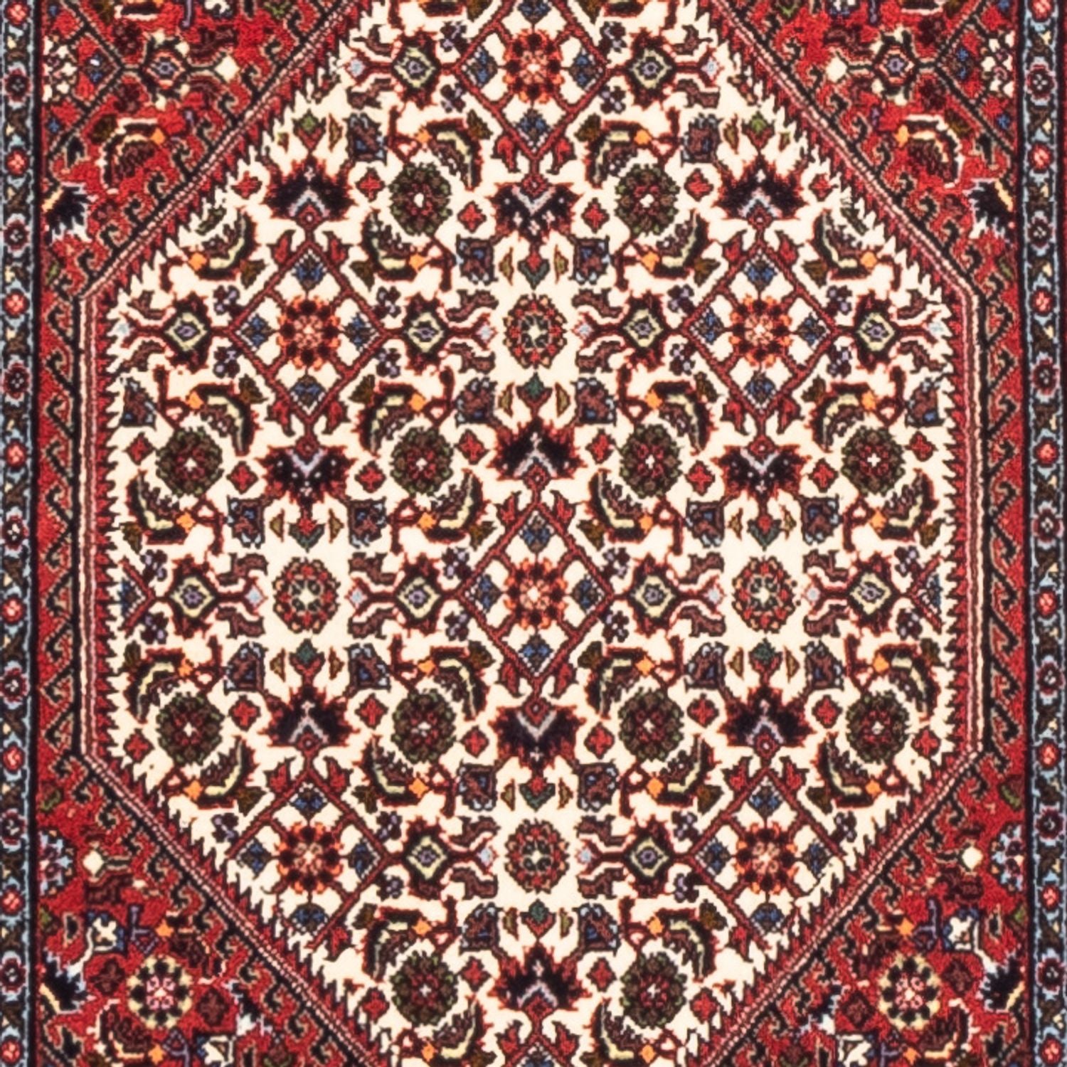 Tappeto corsia Tappeto Persero - Bidjar - 228 x 61 cm - rosso