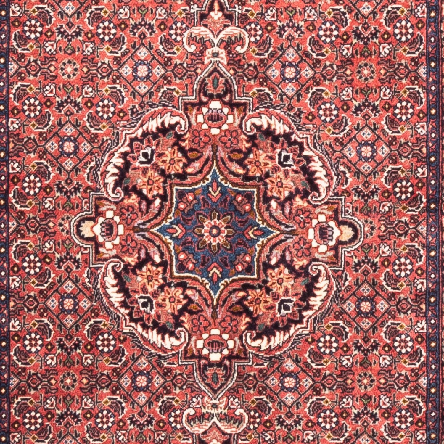 Tappeto corsia Tappeto Persero - Bidjar - 238 x 73 cm - rosso