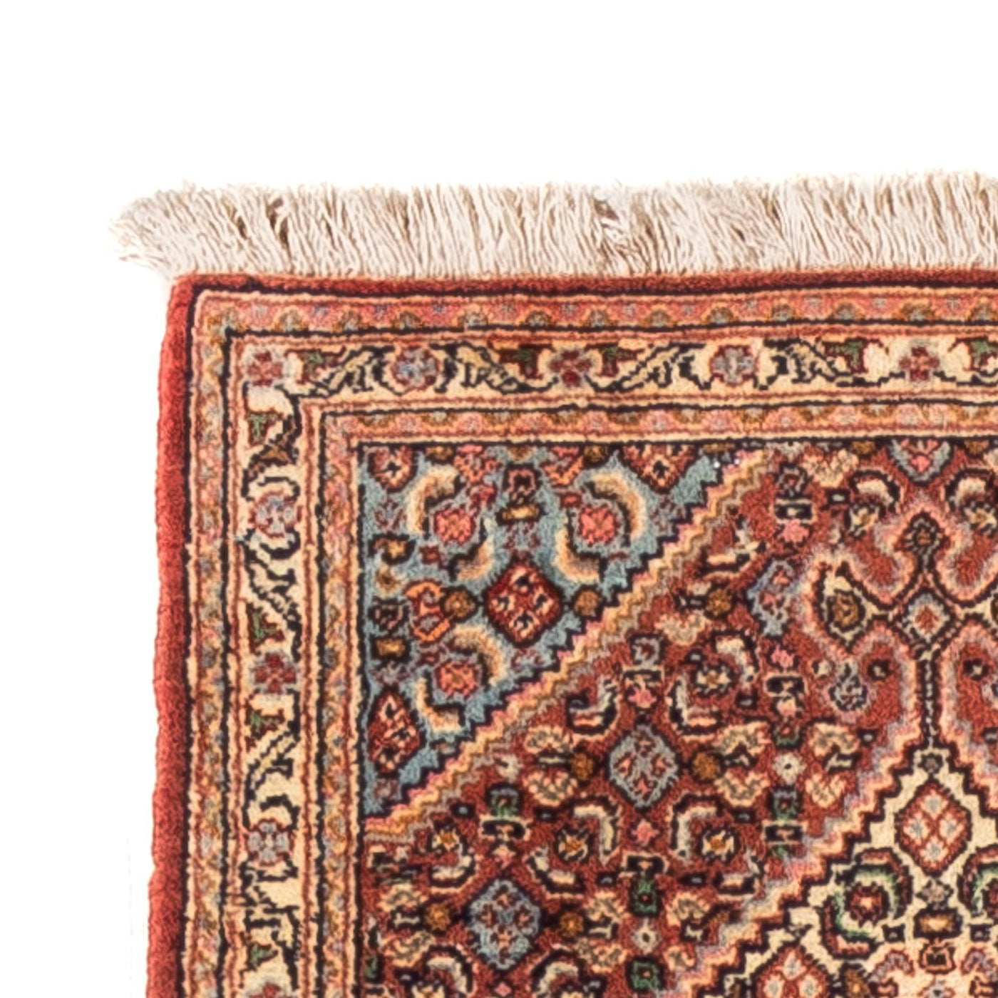 Senneh Tappeto 252x52cm - Tappeto persiano