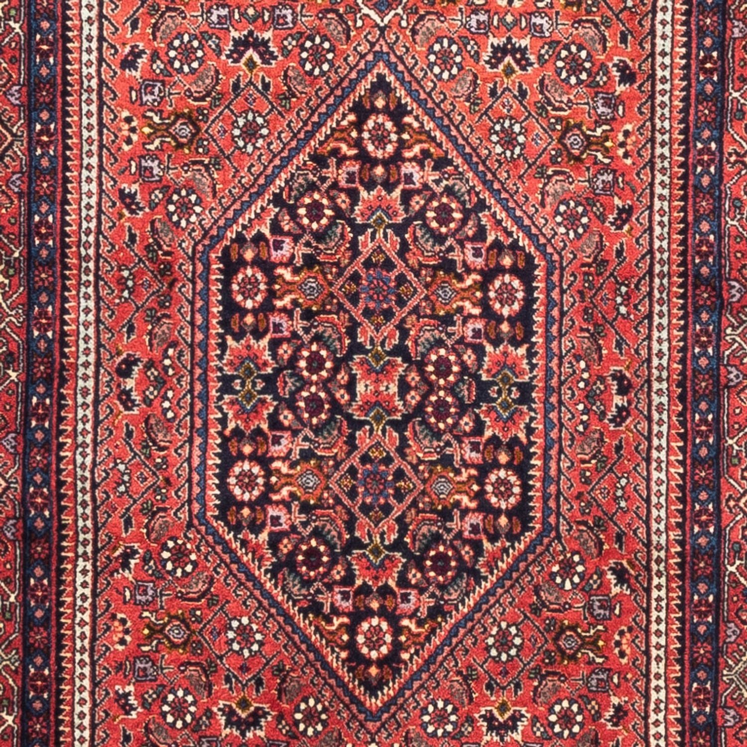 Tappeto corsia Tappeto Persero - Bidjar - 226 x 77 cm - rosso