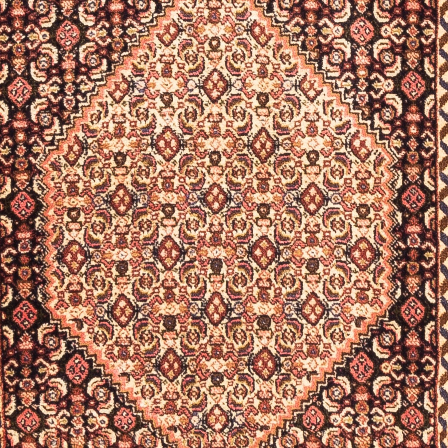 Tappeto corsia Tappeto Persero - Classico - 227 x 70 cm - beige scuro