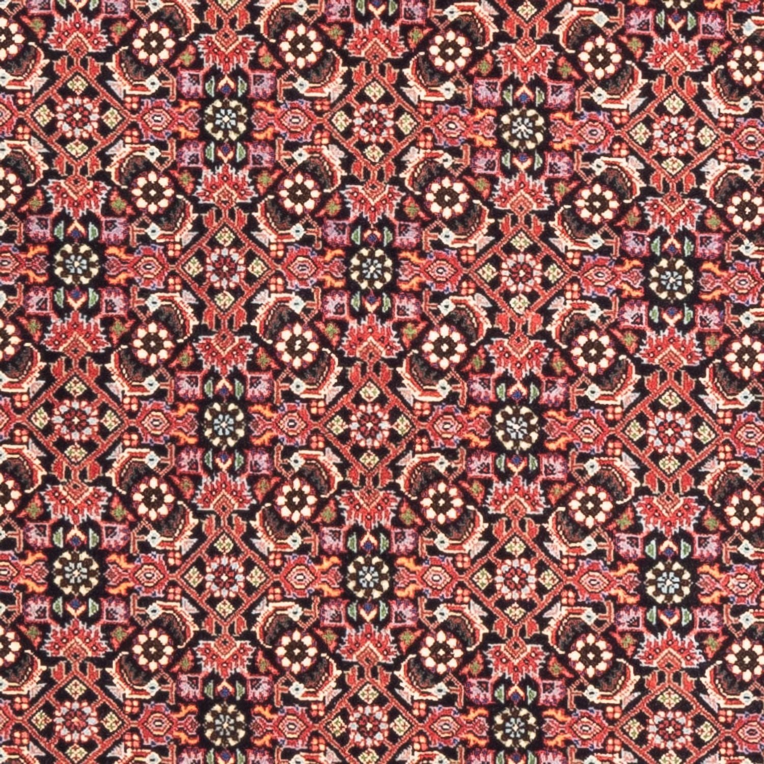 Tappeto corsia Tappeto Persero - Bidjar - 189 x 82 cm - rosso chiaro