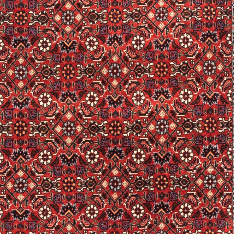 Tappeto corsia Tappeto Persero - Bidjar - 192 x 75 cm - rosso