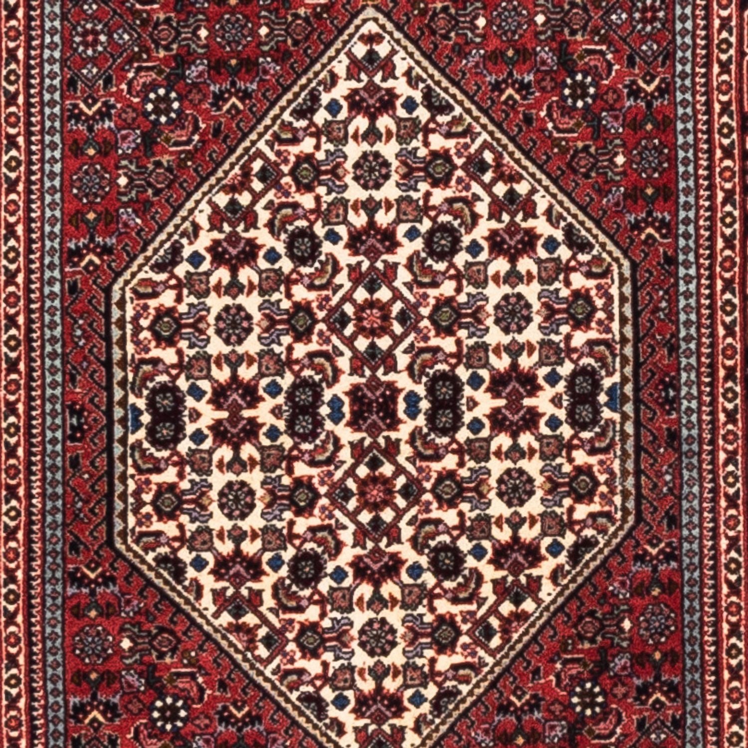 Tappeto corsia Tappeto Persero - Bidjar - 240 x 65 cm - crema