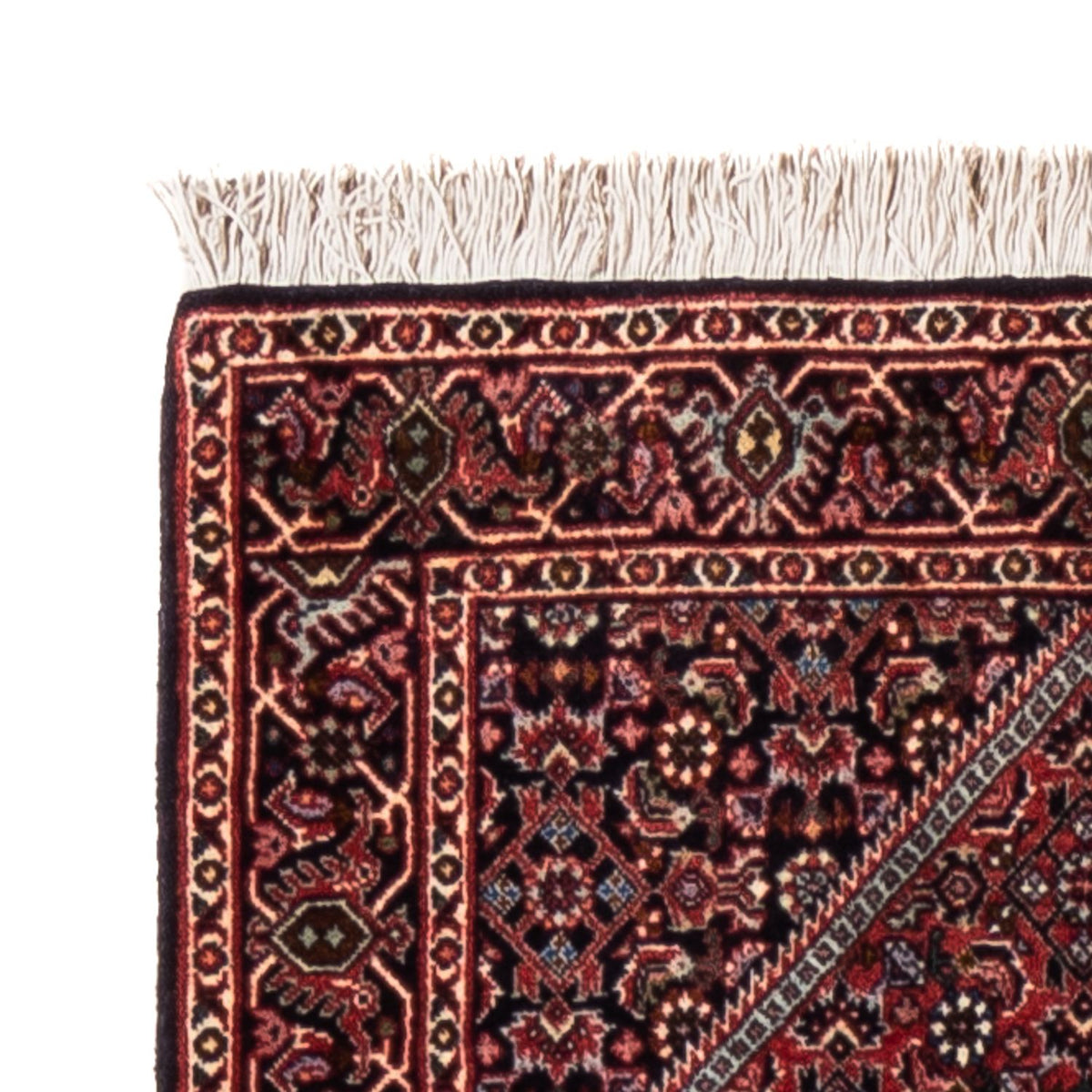 Tappeto corsia Tappeto Persero - Bidjar - 240 x 65 cm - crema