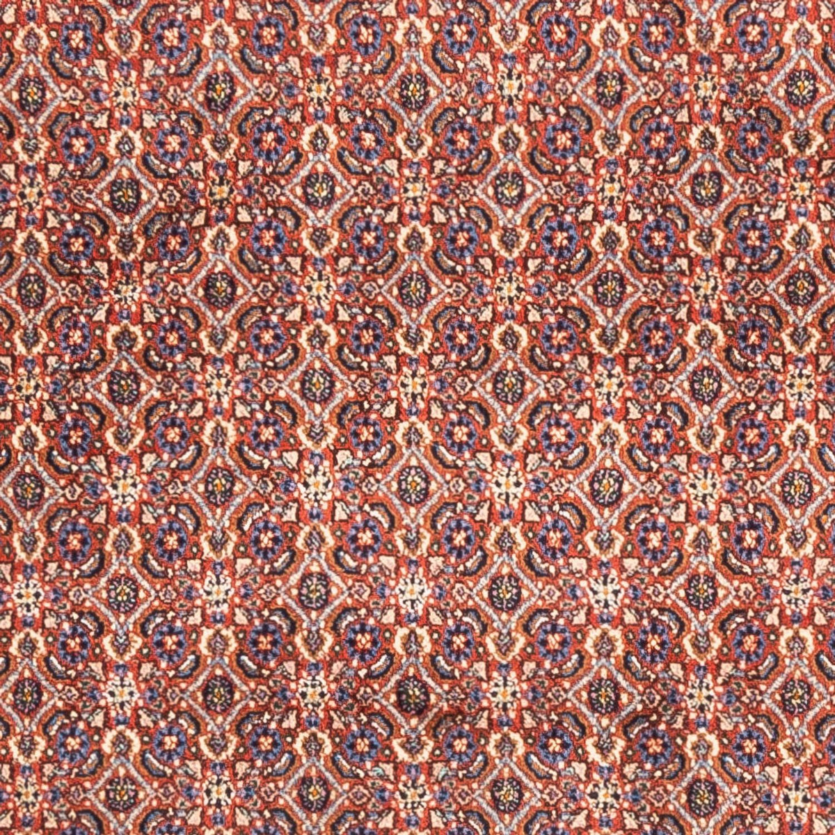 Tappeto Persero - Classico - 247 x 202 cm - rosso chiaro