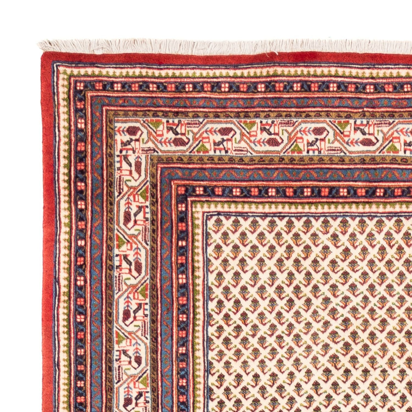 Mir Tappeto 250x210cm - Tappeto persiano