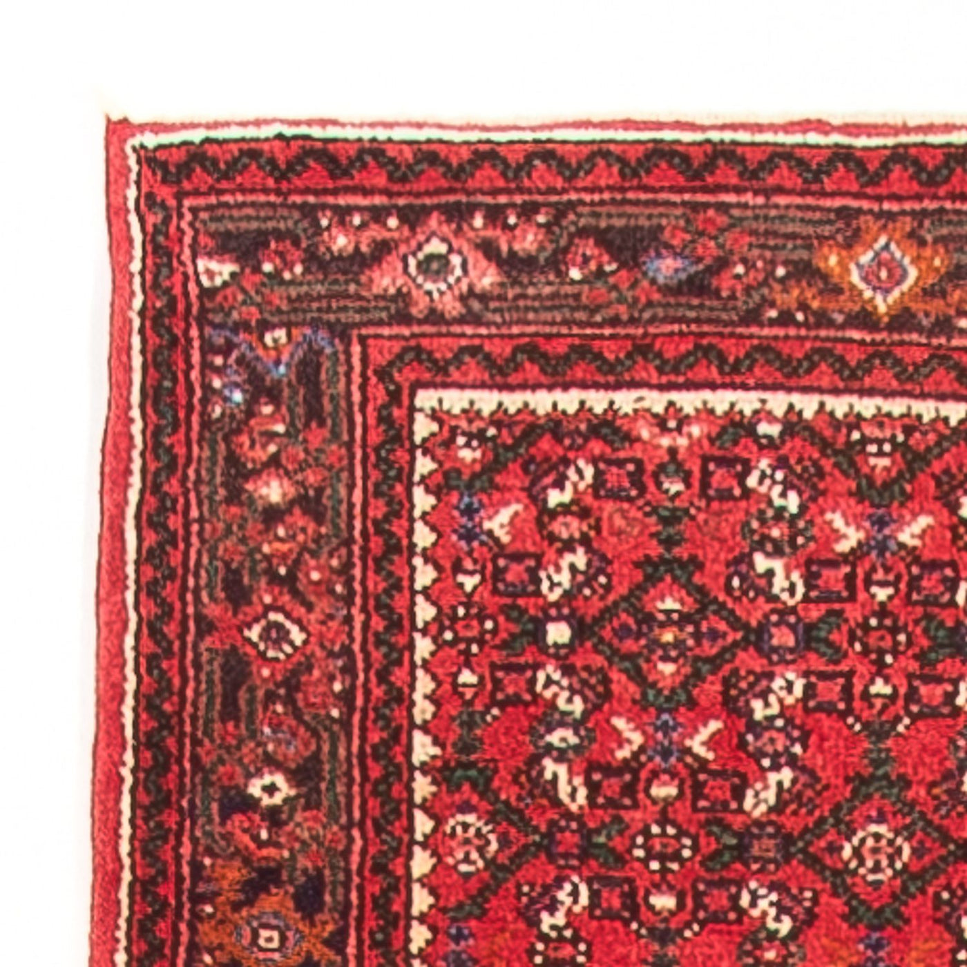 Hamadan Tappeto 600x80cm - Tappeto persiano