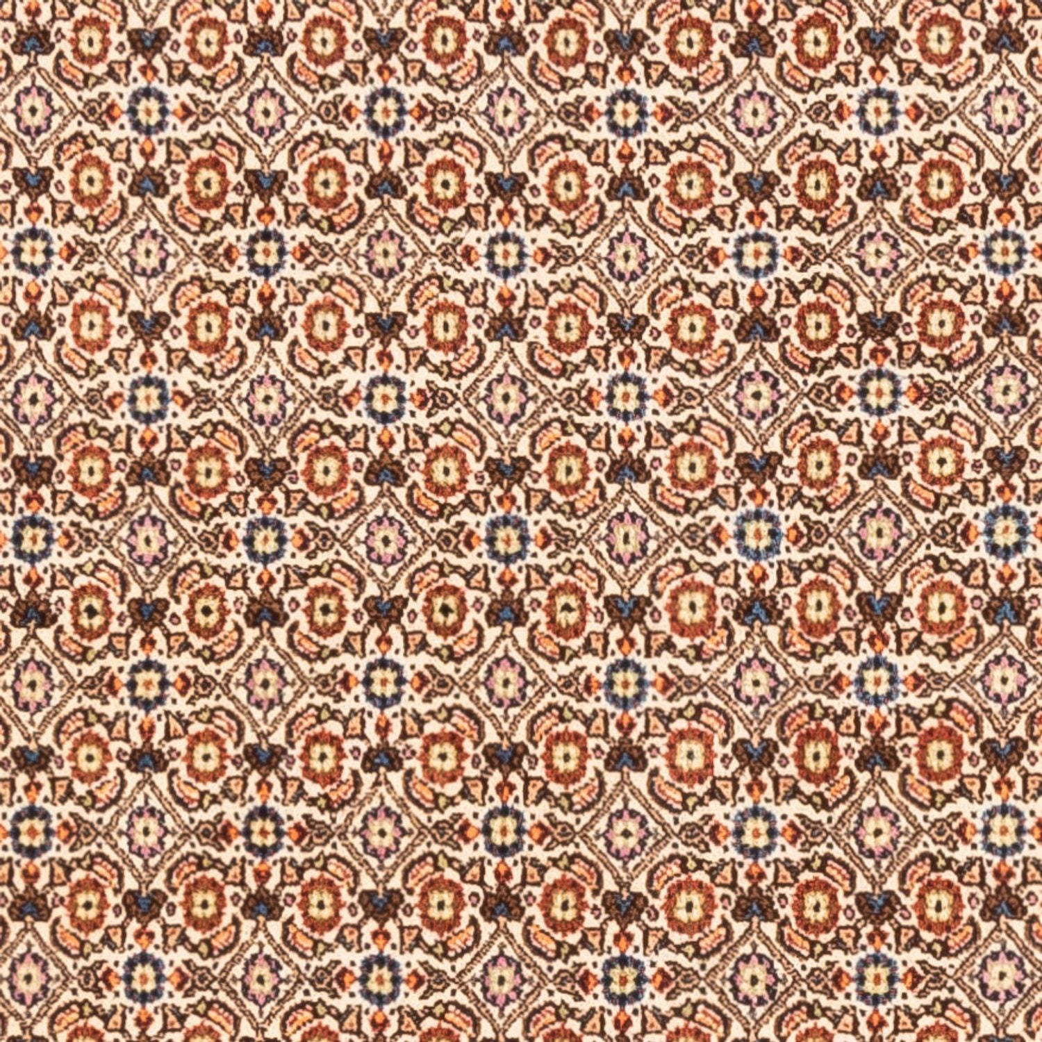 Tappeto Persero - Classico - 250 x 195 cm - beige scuro