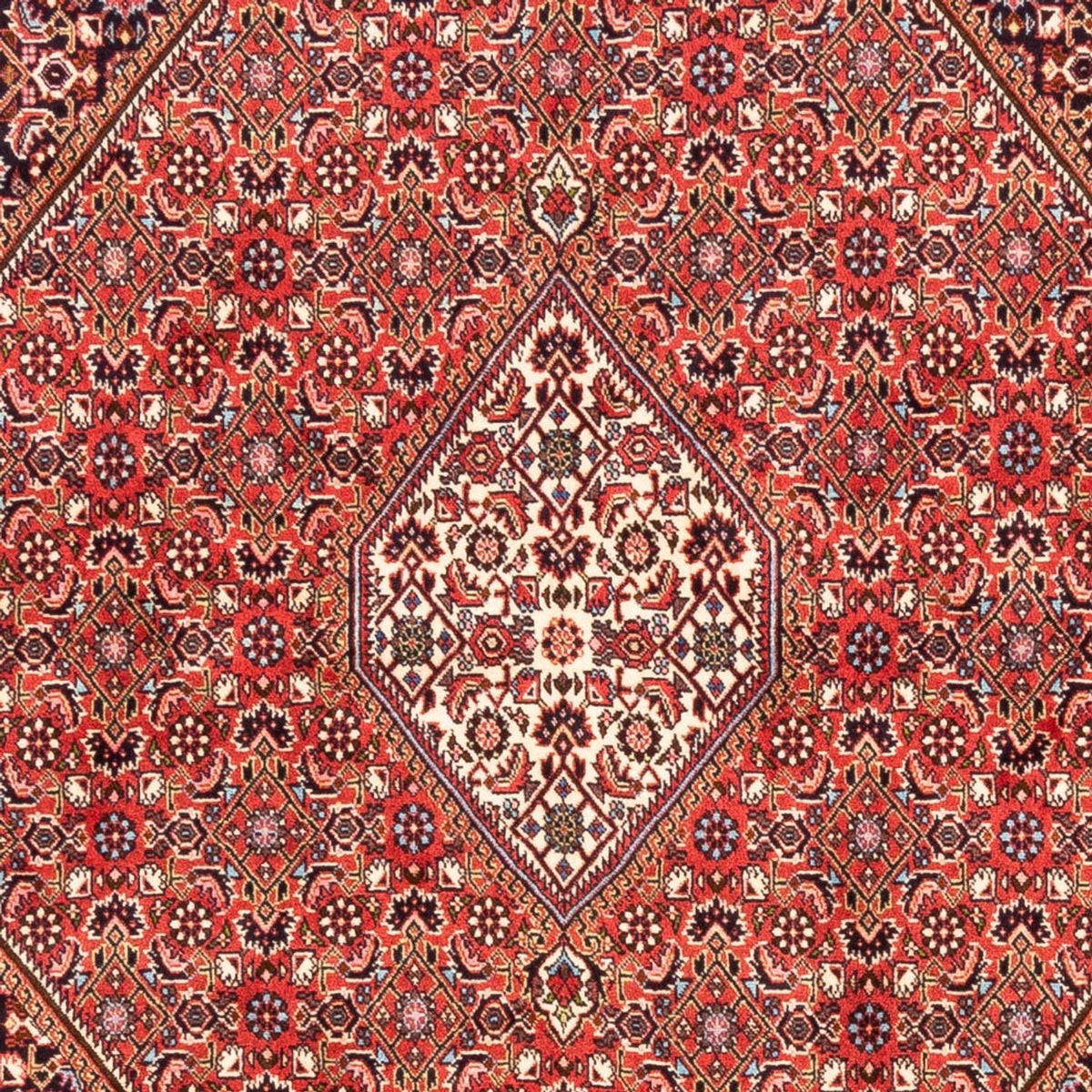 Tappeto Persero - Bidjar - 232 x 171 cm - rosso