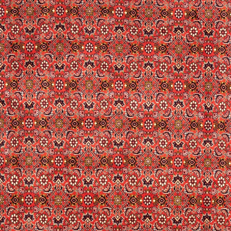 Tappeto Persero - Bidjar - 242 x 168 cm - rosso