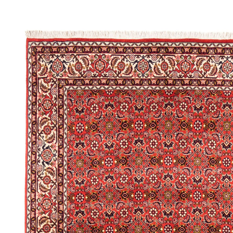 Tappeto Persero - Bidjar - 242 x 168 cm - rosso